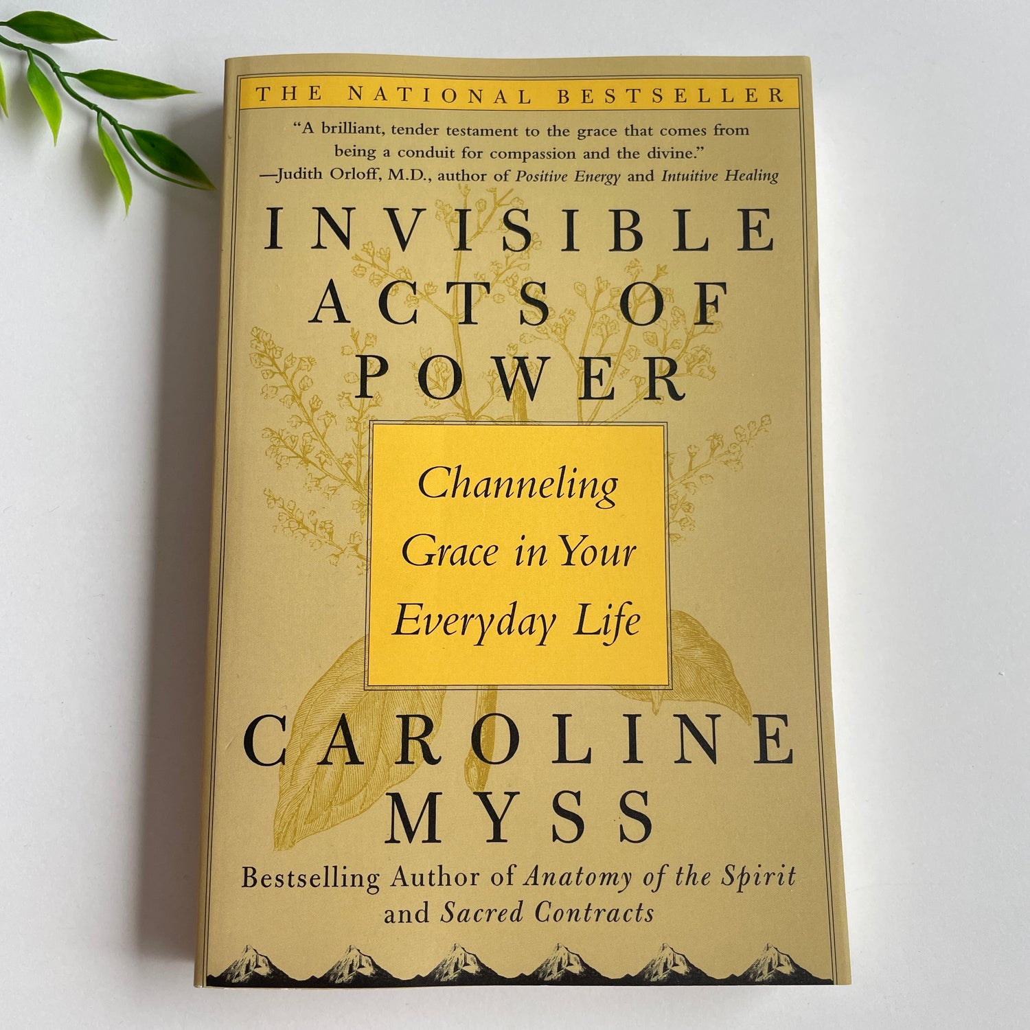 Invisible Acts of Power Caroline Myss.