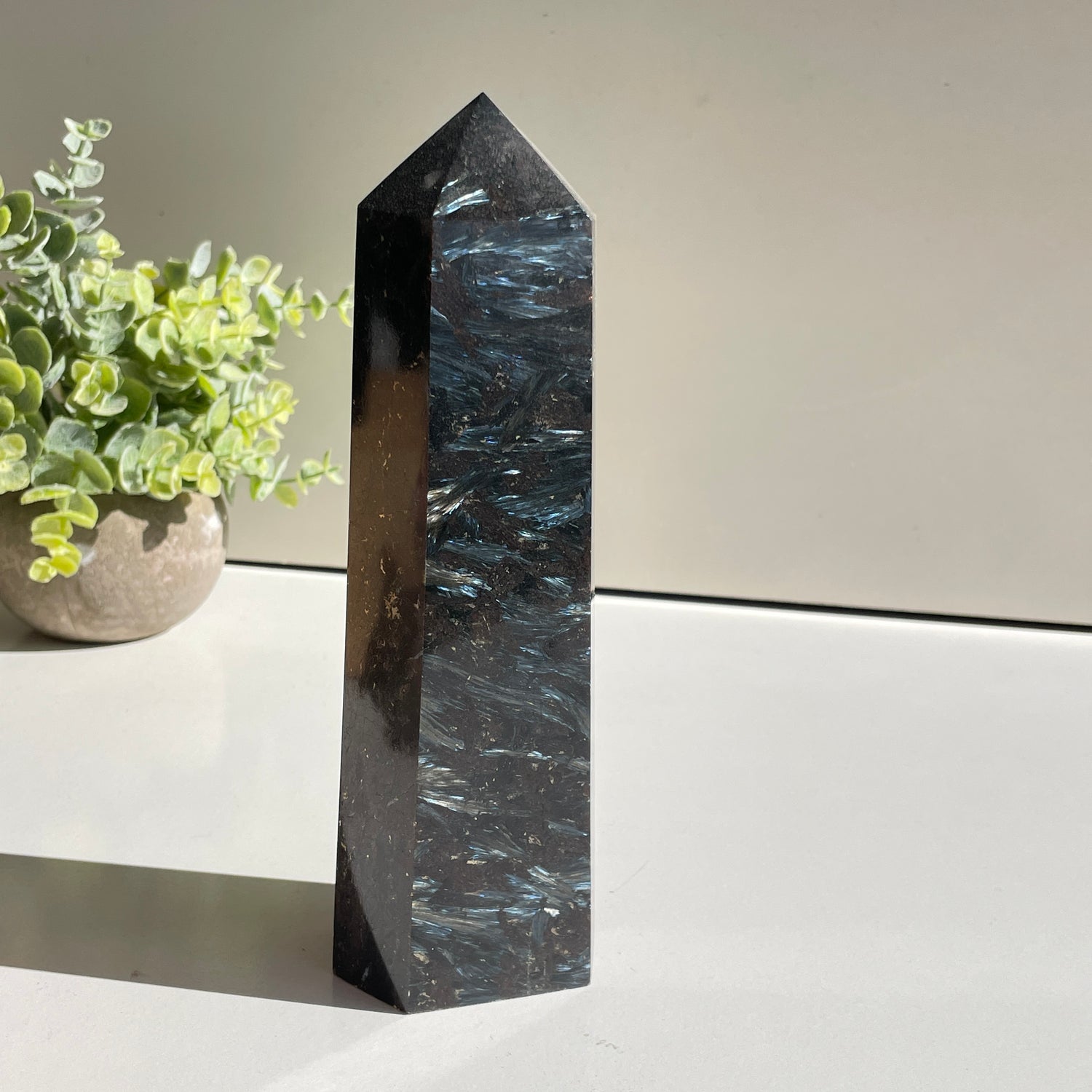 Garnet In Arfvedsonite Generator 20.5cm