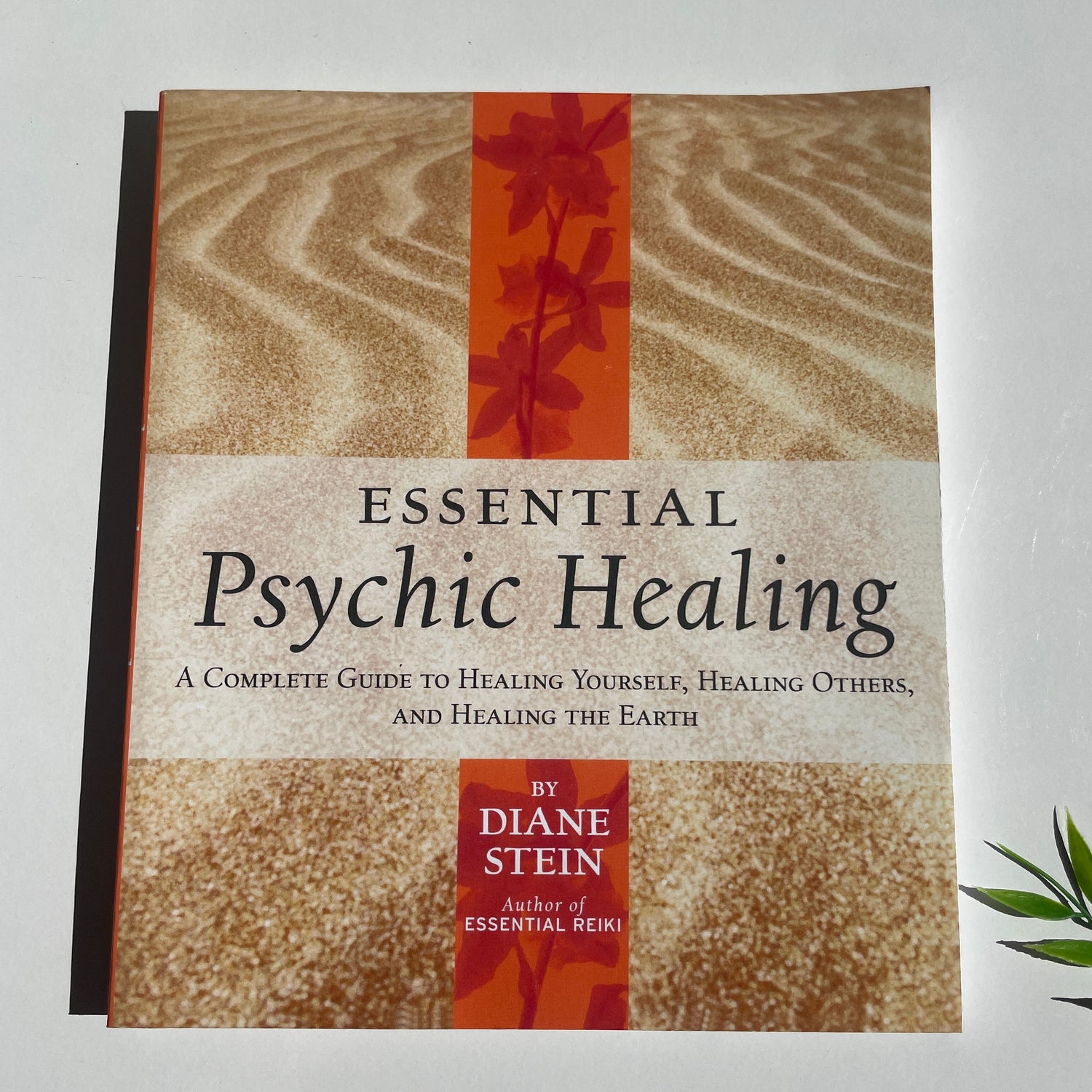 Essential Psychic Healing Diane Stein