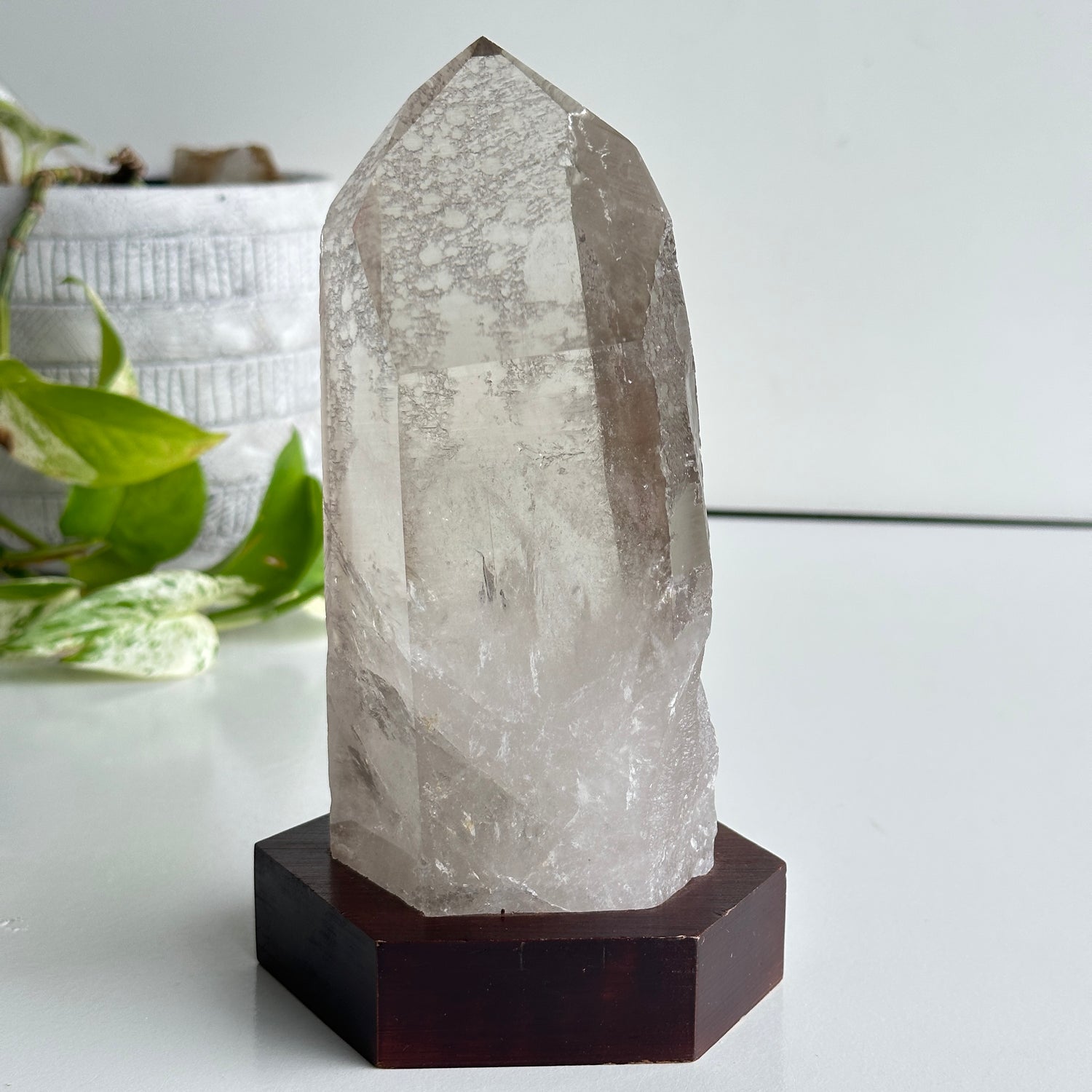 Brazilian Smoky Lemurian In Stand 17cm