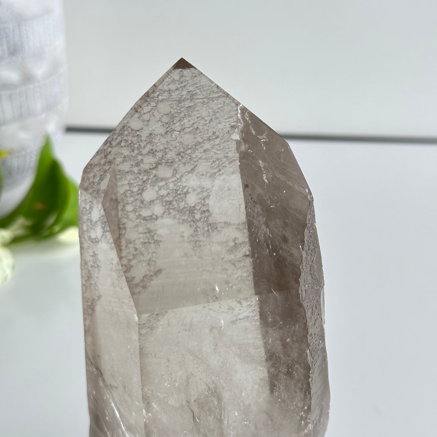 Brazilian Smoky Lemurian In Stand 17cm