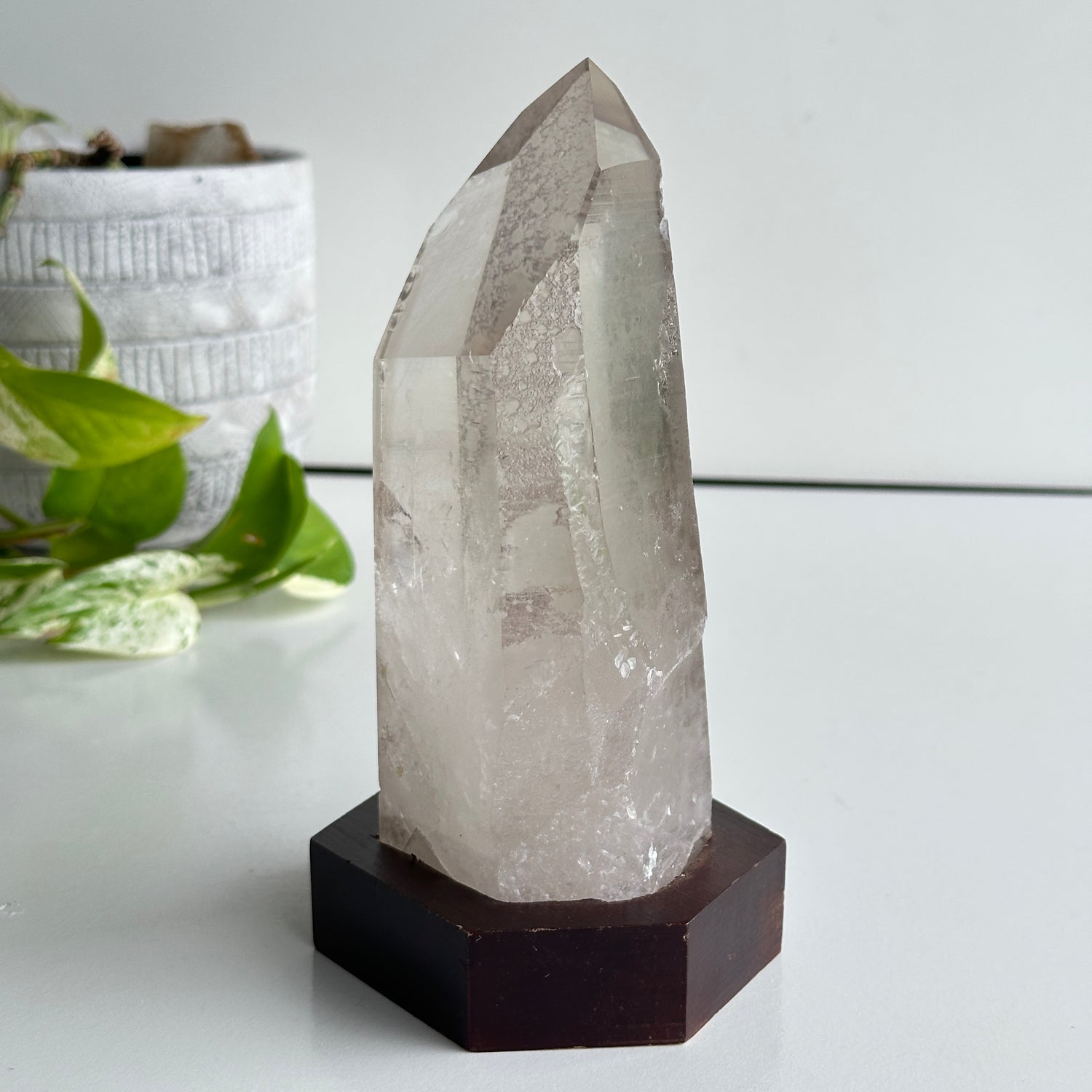 Brazilian Smoky Lemurian In Stand 17cm