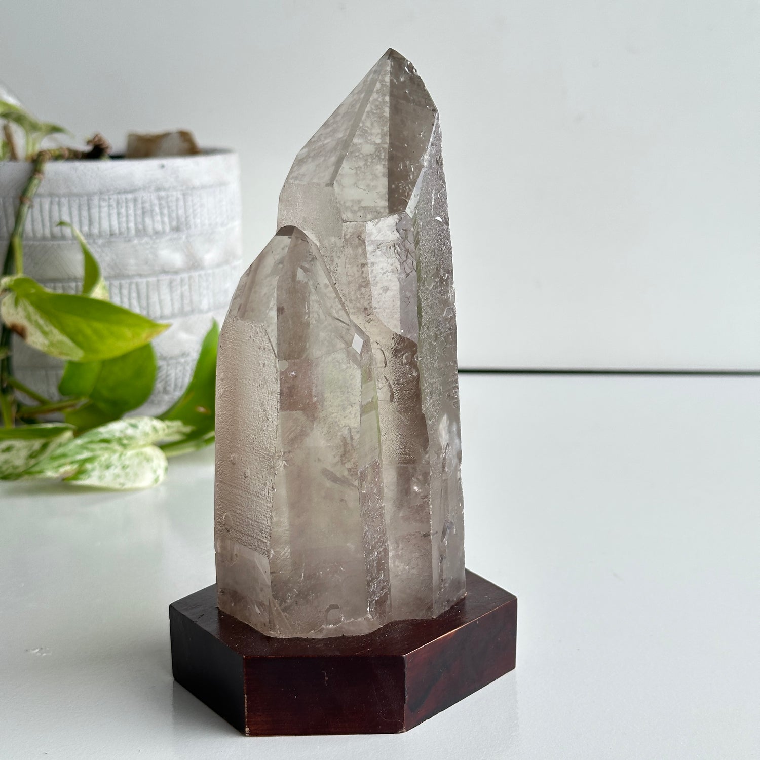 Brazilian Smoky Lemurian In Stand 17.5cm