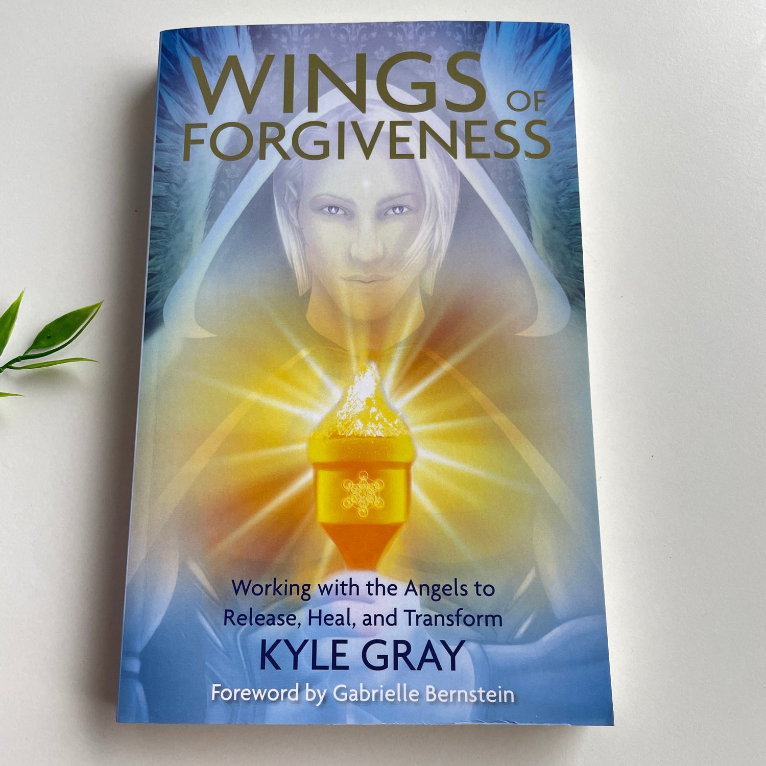 Wings Of Forgiveness Kyle Gray