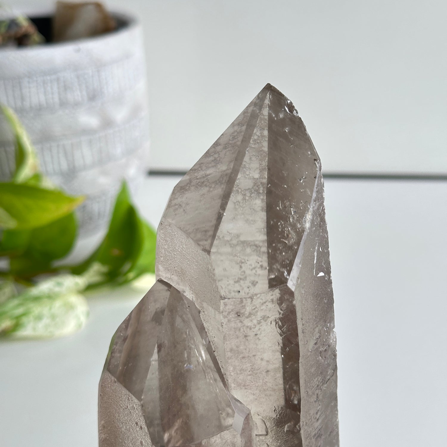Brazilian Smoky Lemurian In Stand 17.5cm