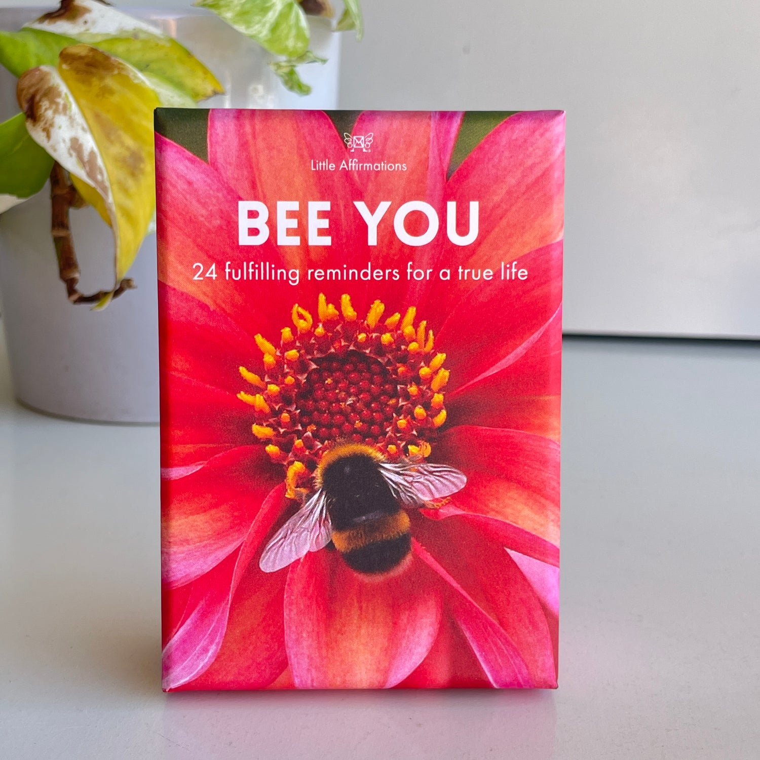 Bee You Affirmation Cards