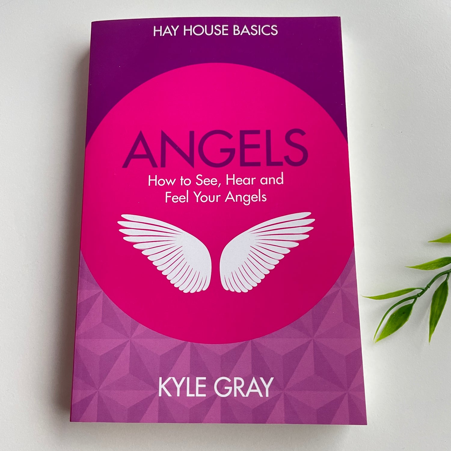 Hay House Basics Angels How to See ,Hear and Feel Your Angels Kyle Gray