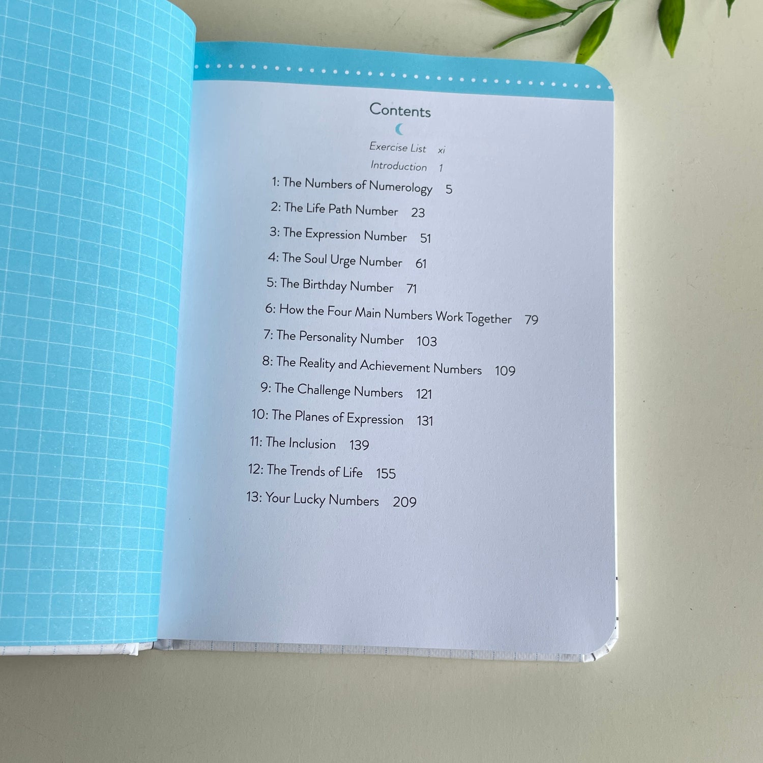 Llewellyns Book Of Numerology  Richard Webster