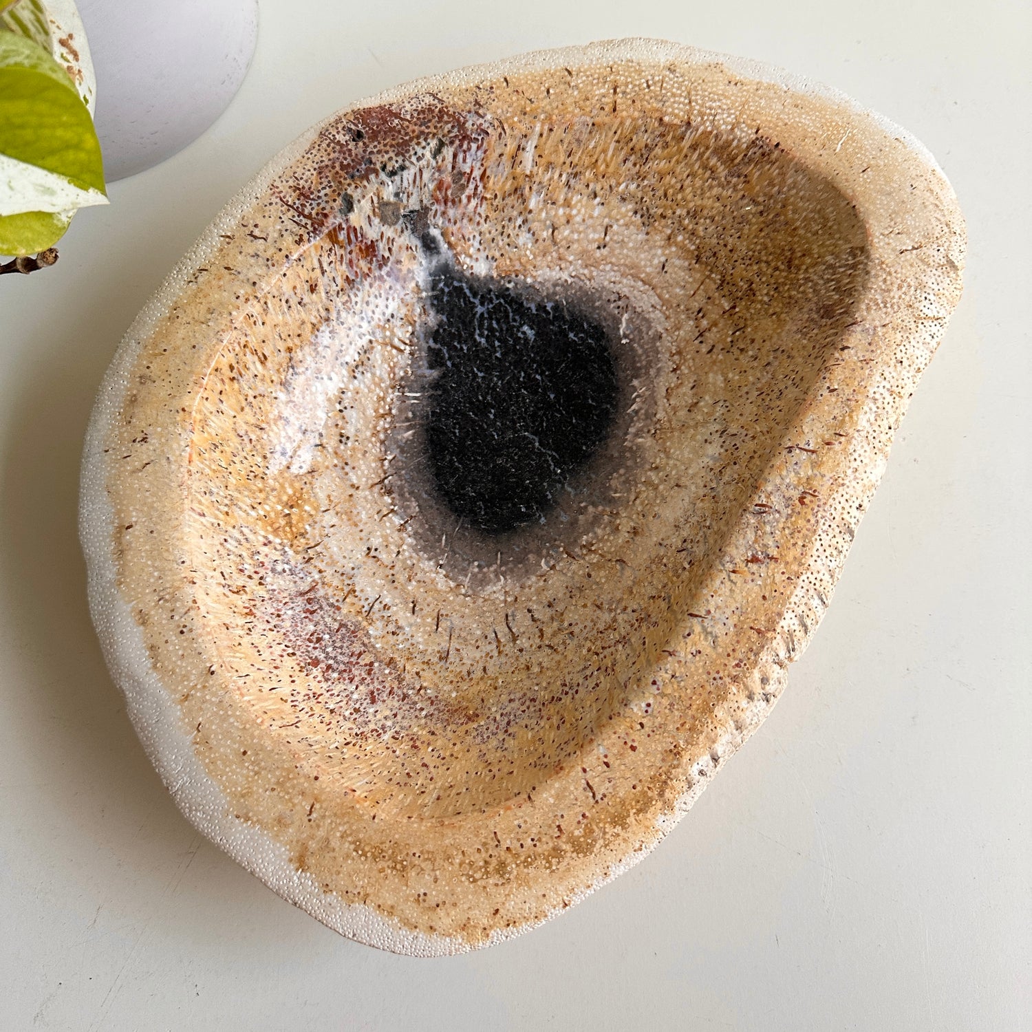 Petrified Wood Bowl 1.686kg