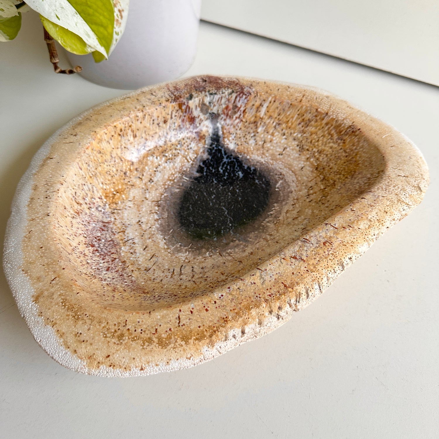 Petrified Wood Bowl 1.686kg