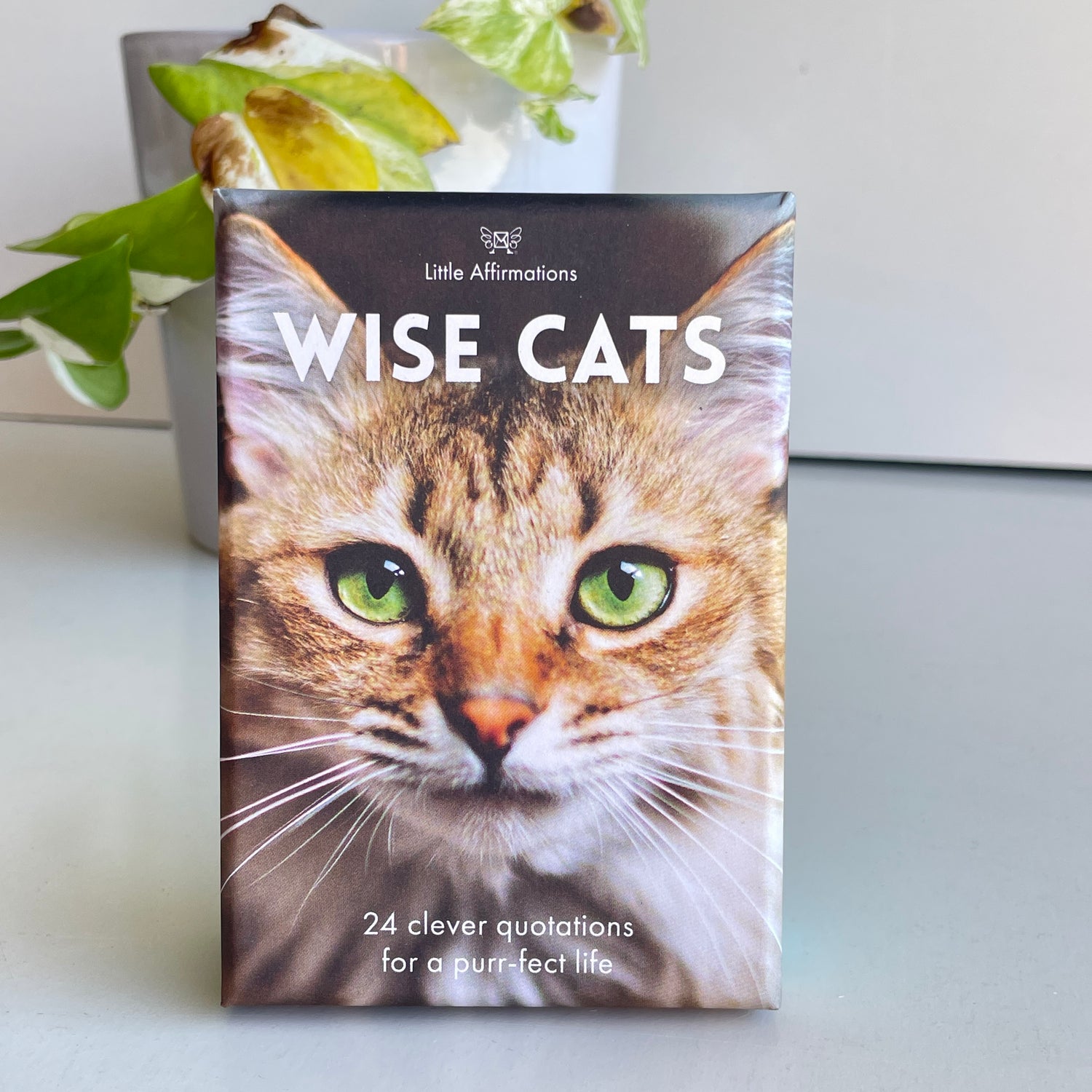 Wise Cats Affirmation Cards