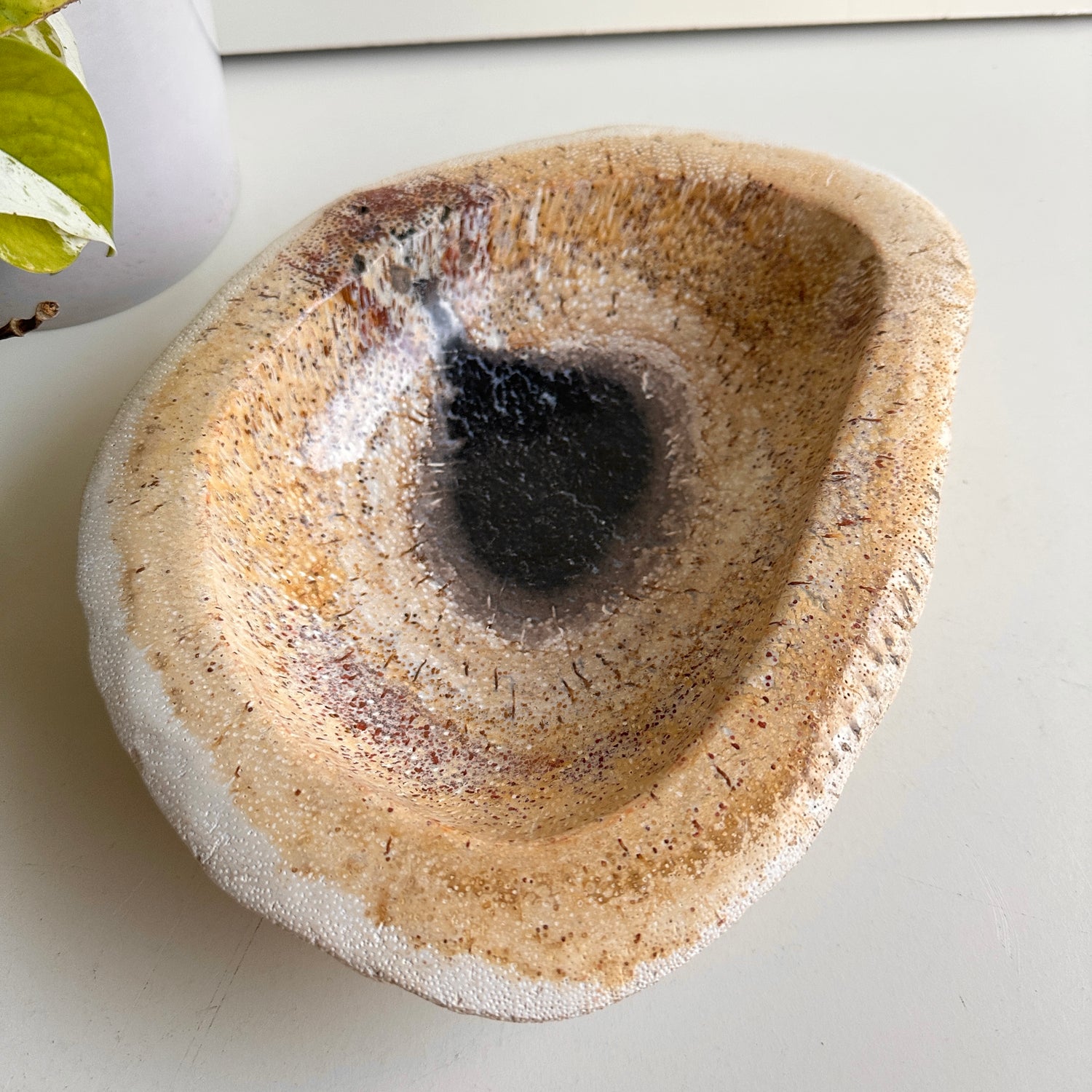 Petrified Wood Bowl 1.686kg