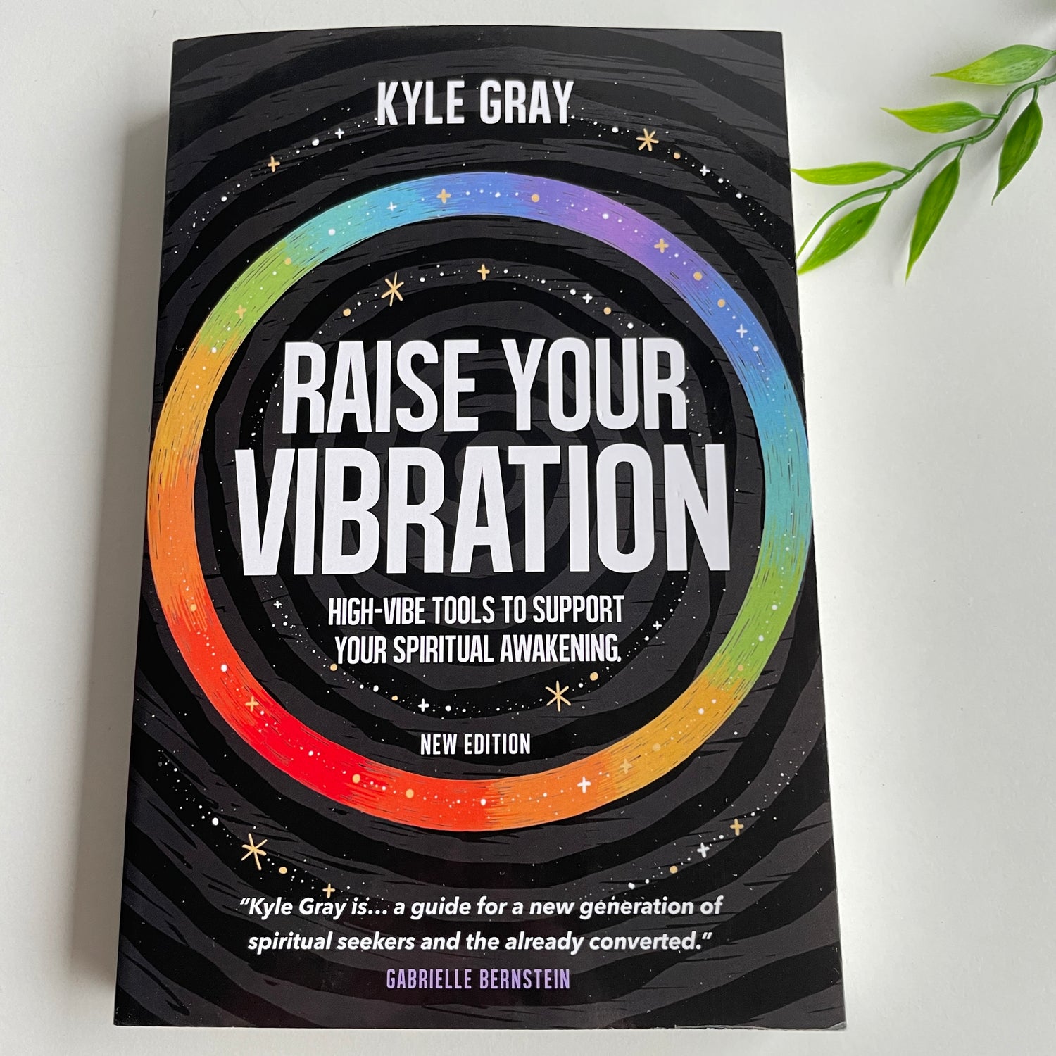 Raise Your Vibration Kyle Gray