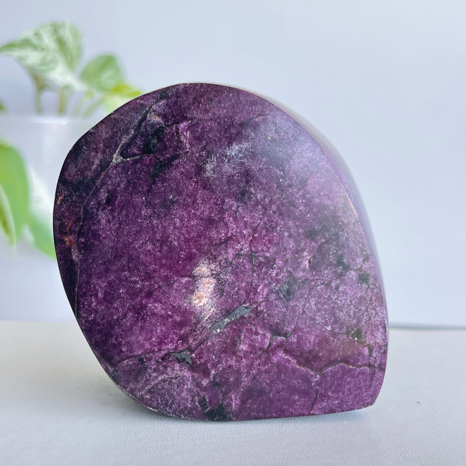 Stichtite In Serpentine ( Atlantisite ) Freeform 6.7cm