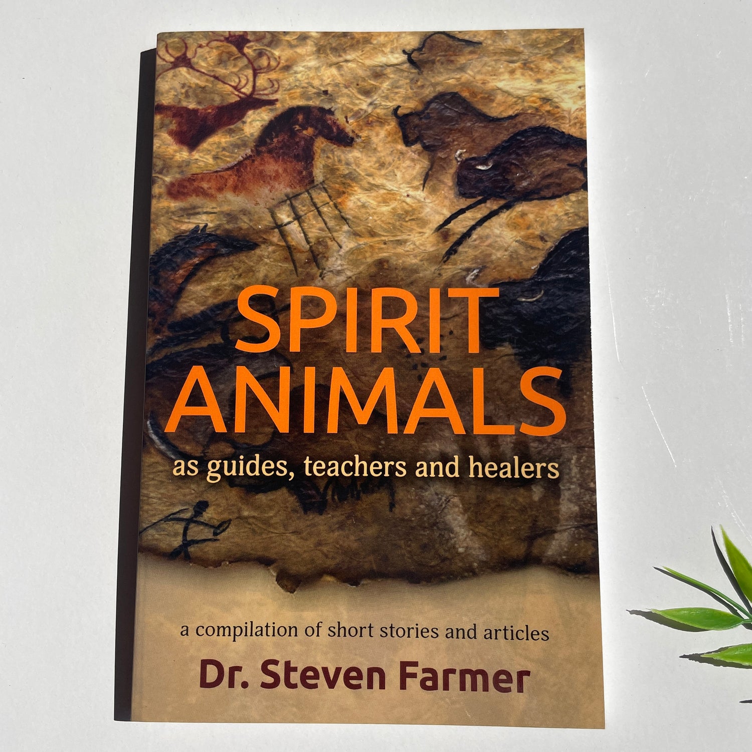 Spirit Animals Steven Farmer