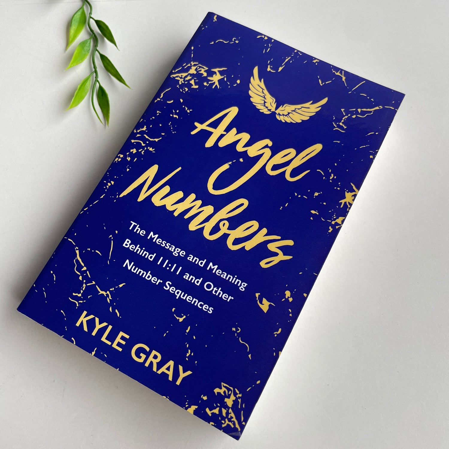 Angel Numbers Kyle Gray