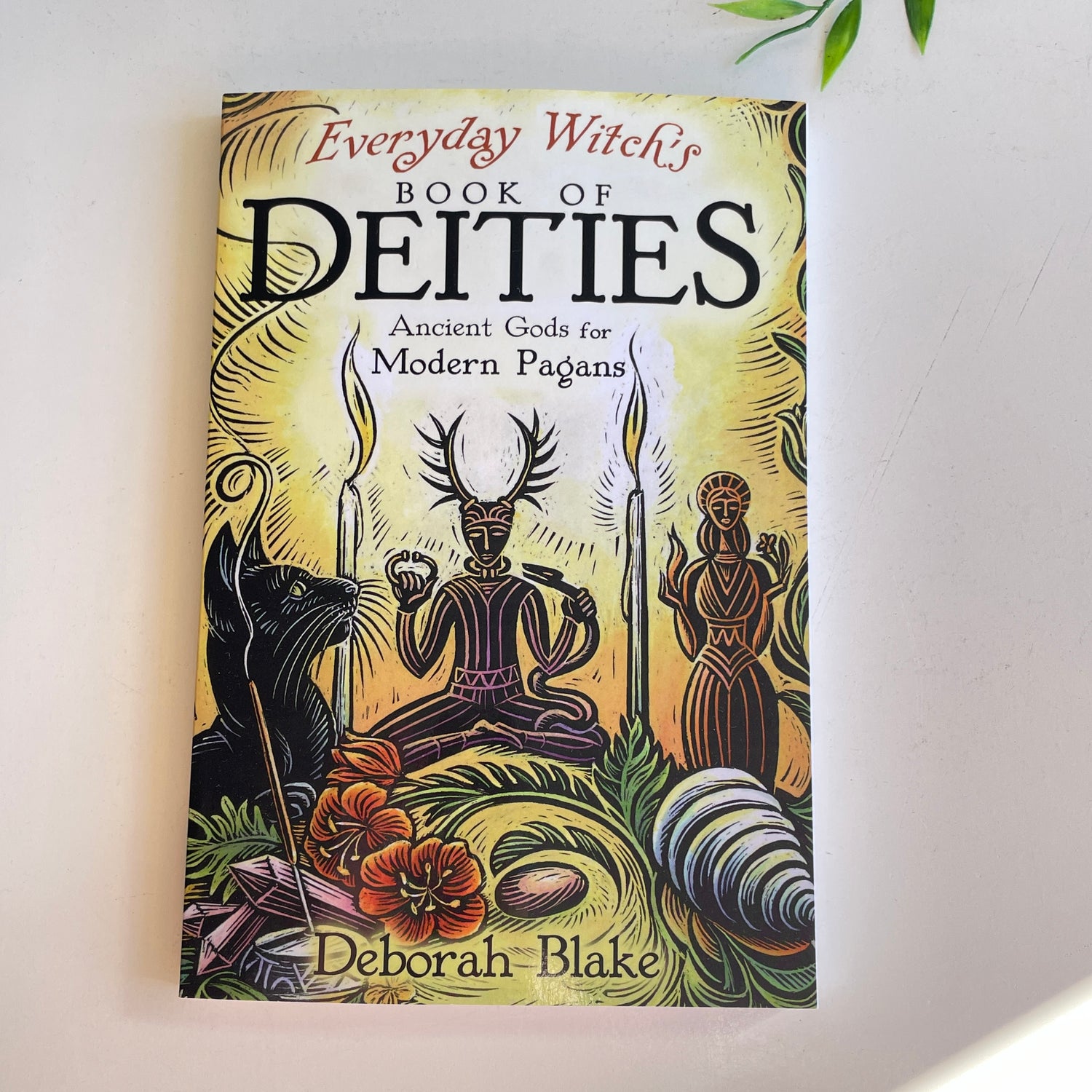 Everyday Witch Book Of Deities Deborah Blake