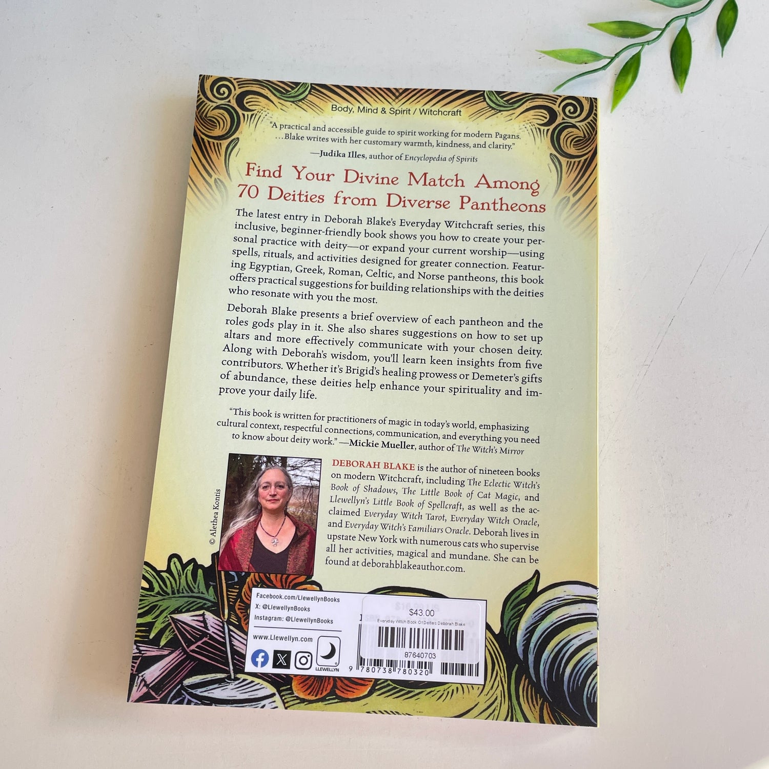 Everyday Witch Book Of Deities Deborah Blake