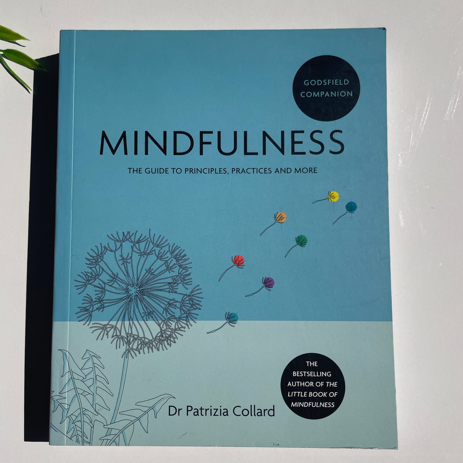 Mindfulness The Guide To Principles, Practices and More Patrizia Collard