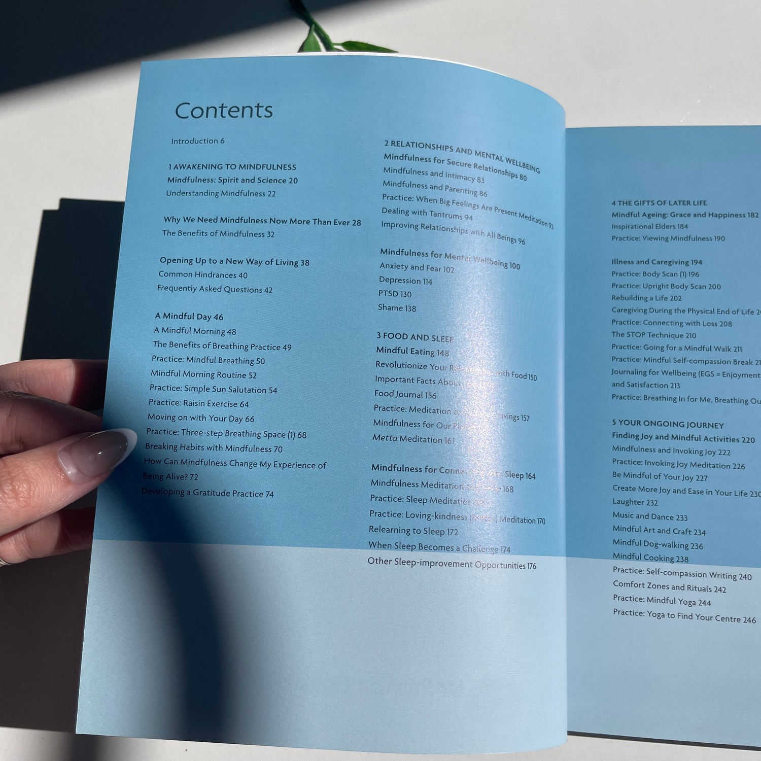 Mindfulness The Guide To Principles, Practices and More Patrizia Collard