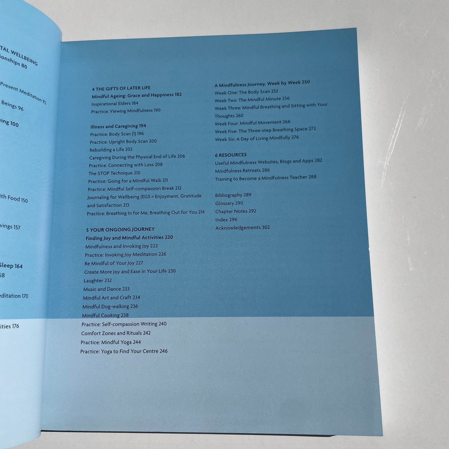 Mindfulness The Guide To Principles, Practices and More Patrizia Collard