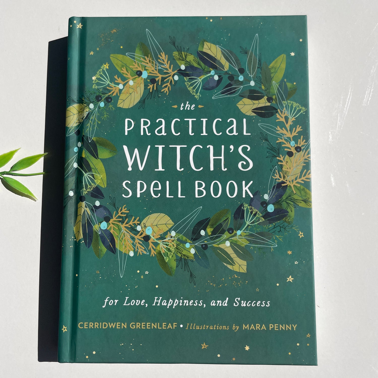 The Practical Witch's Spell Book Cerridwen Greenleaf