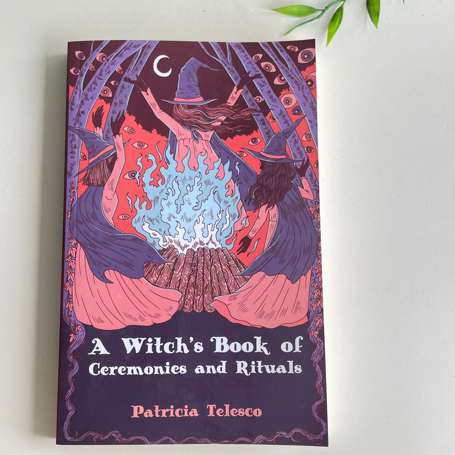 A Witch's Book Of Ceremonies And Rituals Patricia Telesco