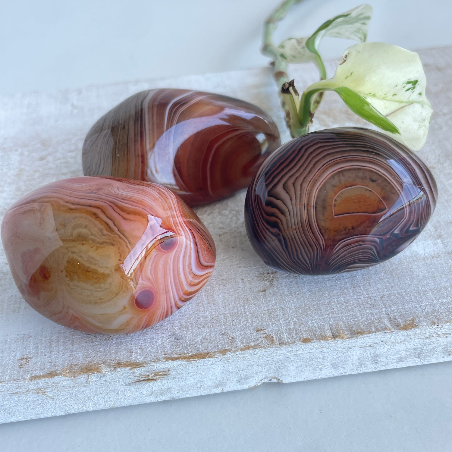 Sardonyx Palmstone Sml