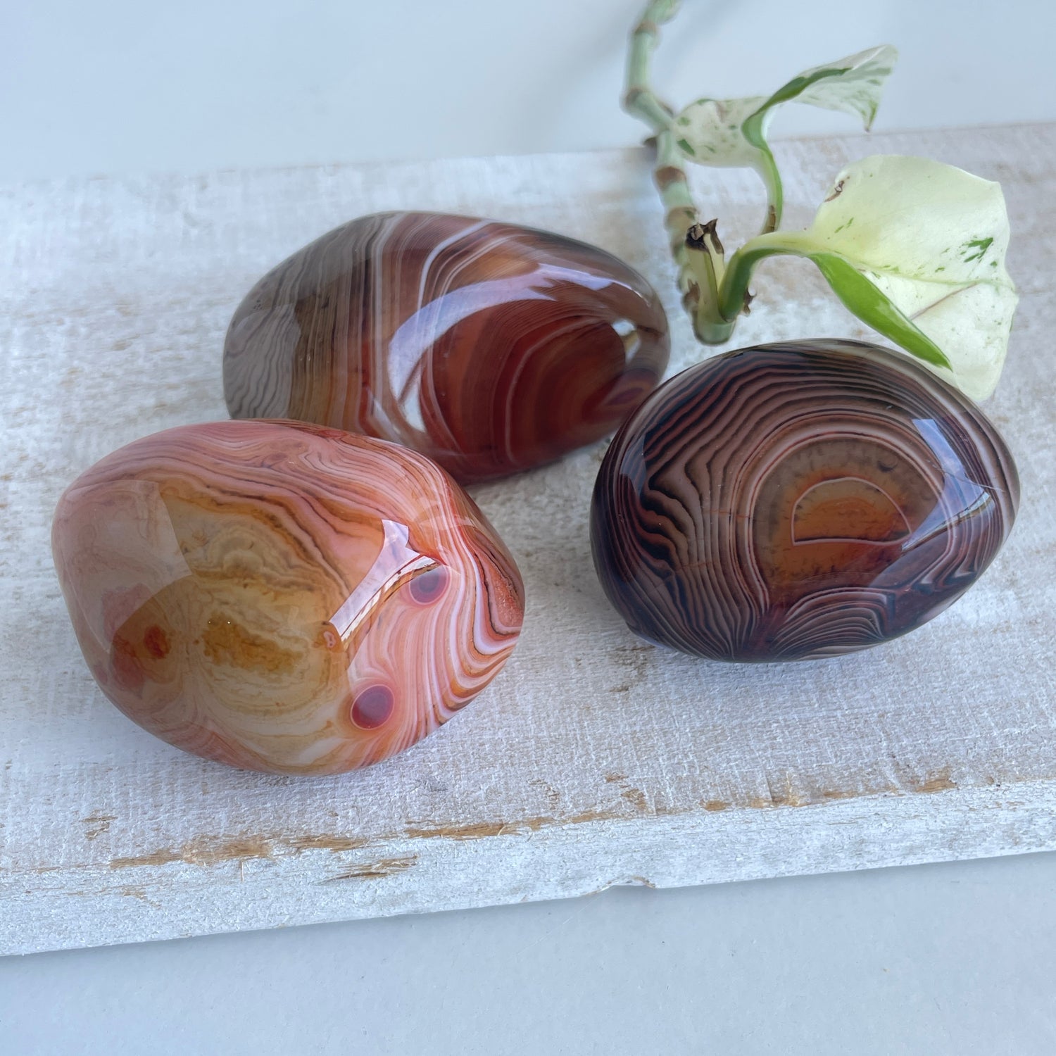 Sardonyx Palmstone Sml