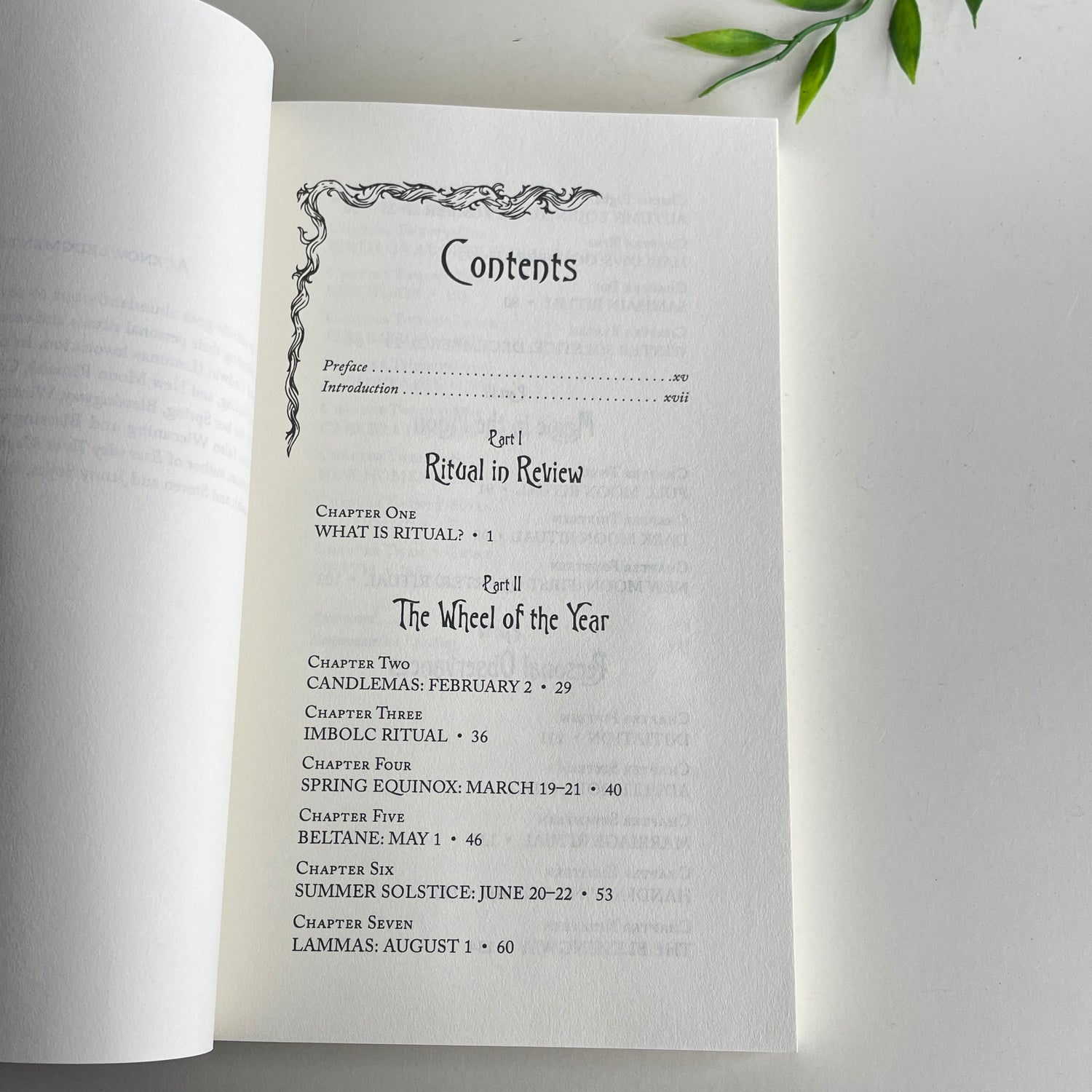 A Witch's Book Of Ceremonies And Rituals Patricia Telesco