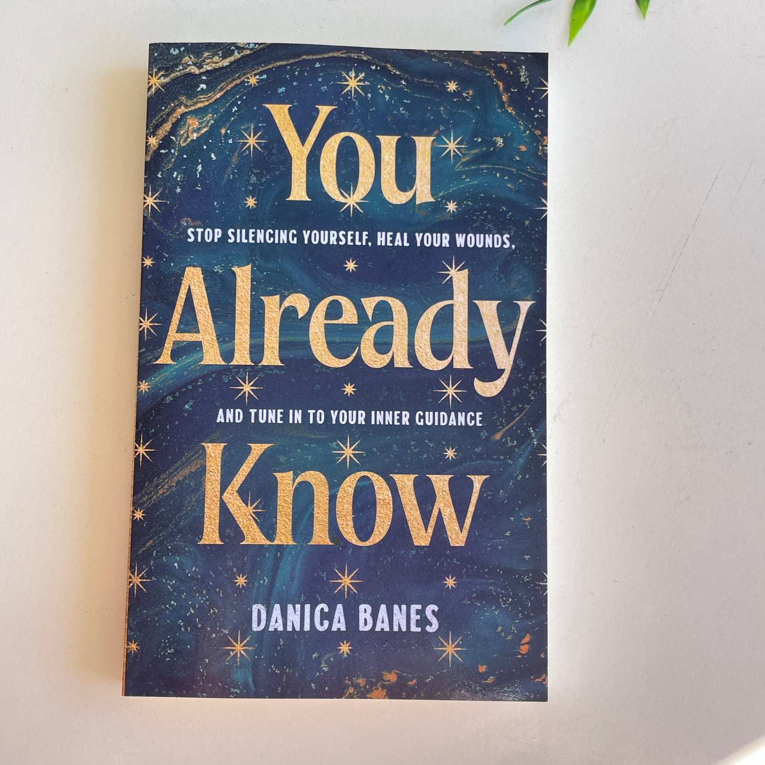 You Already Know Danica Banes