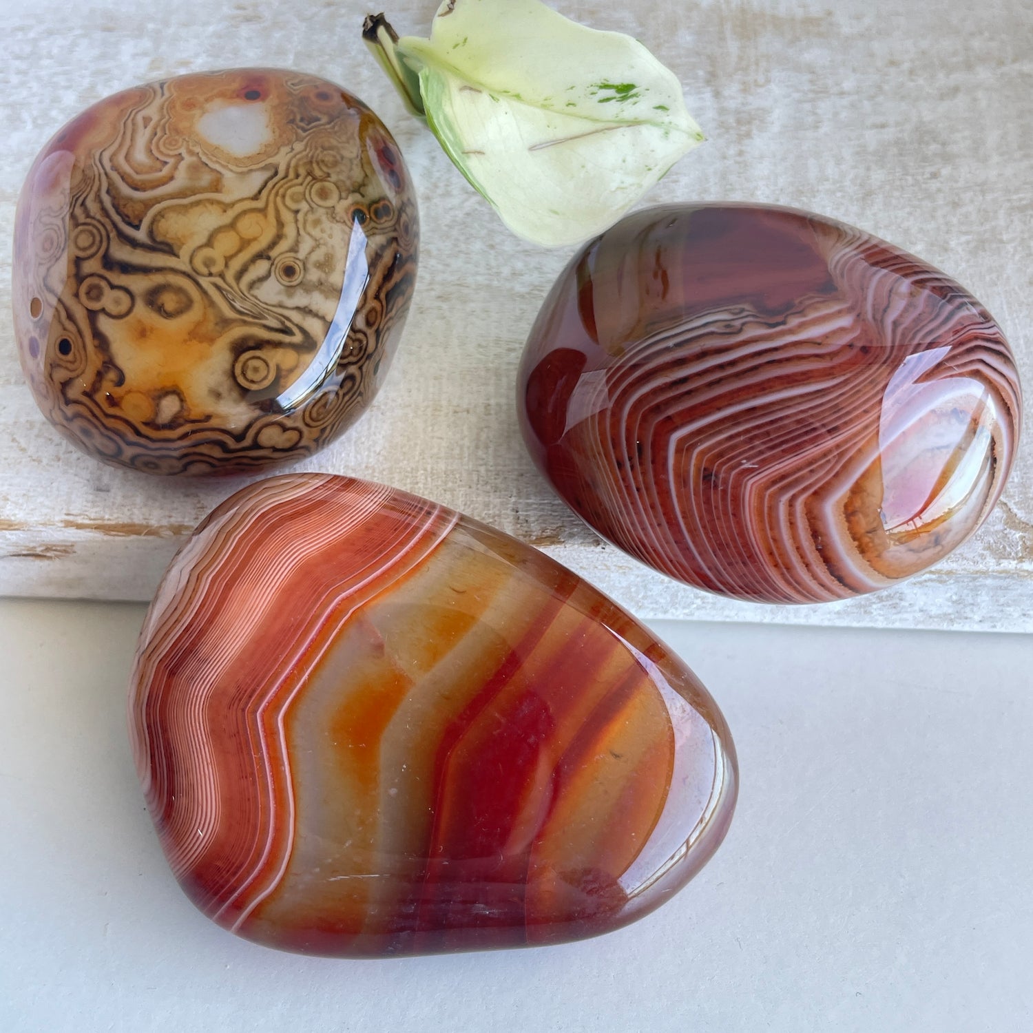 Sardonyx Palmstone