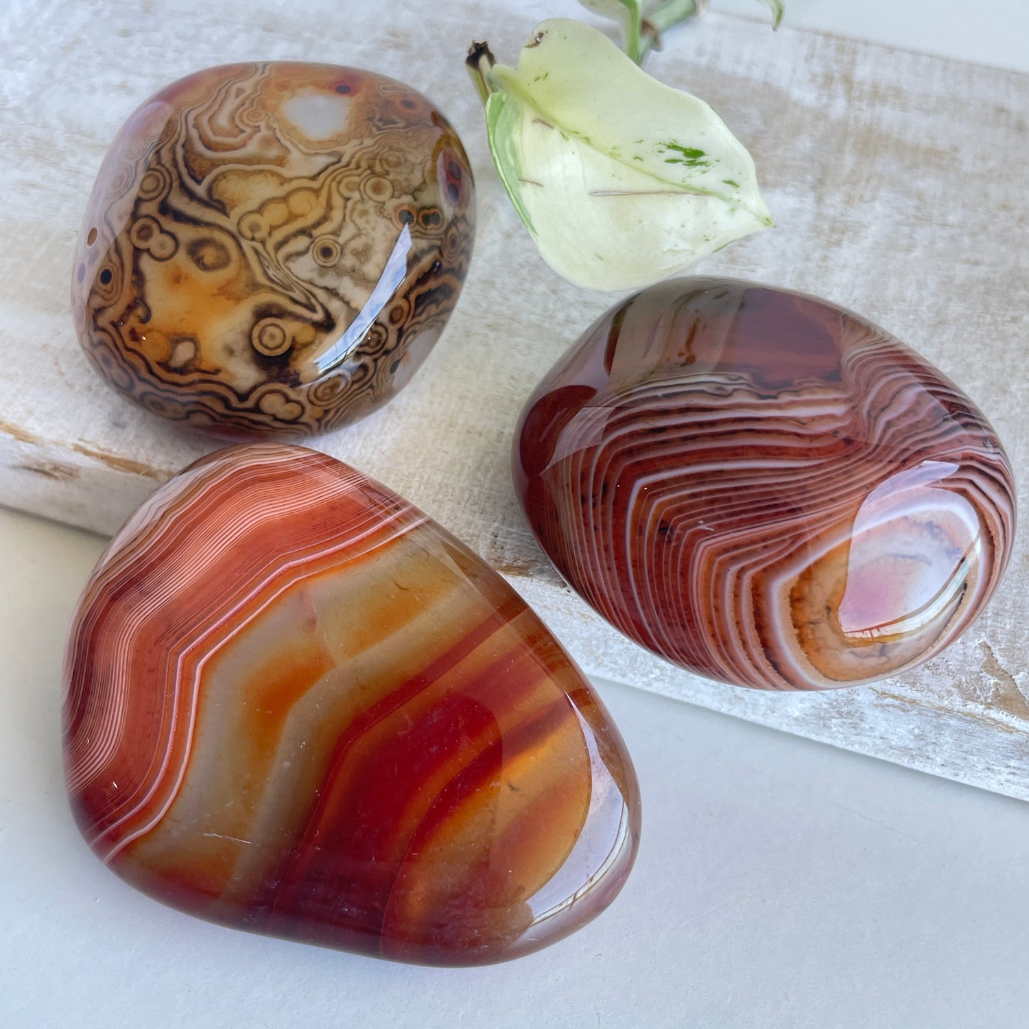 Sardonyx Palmstone
