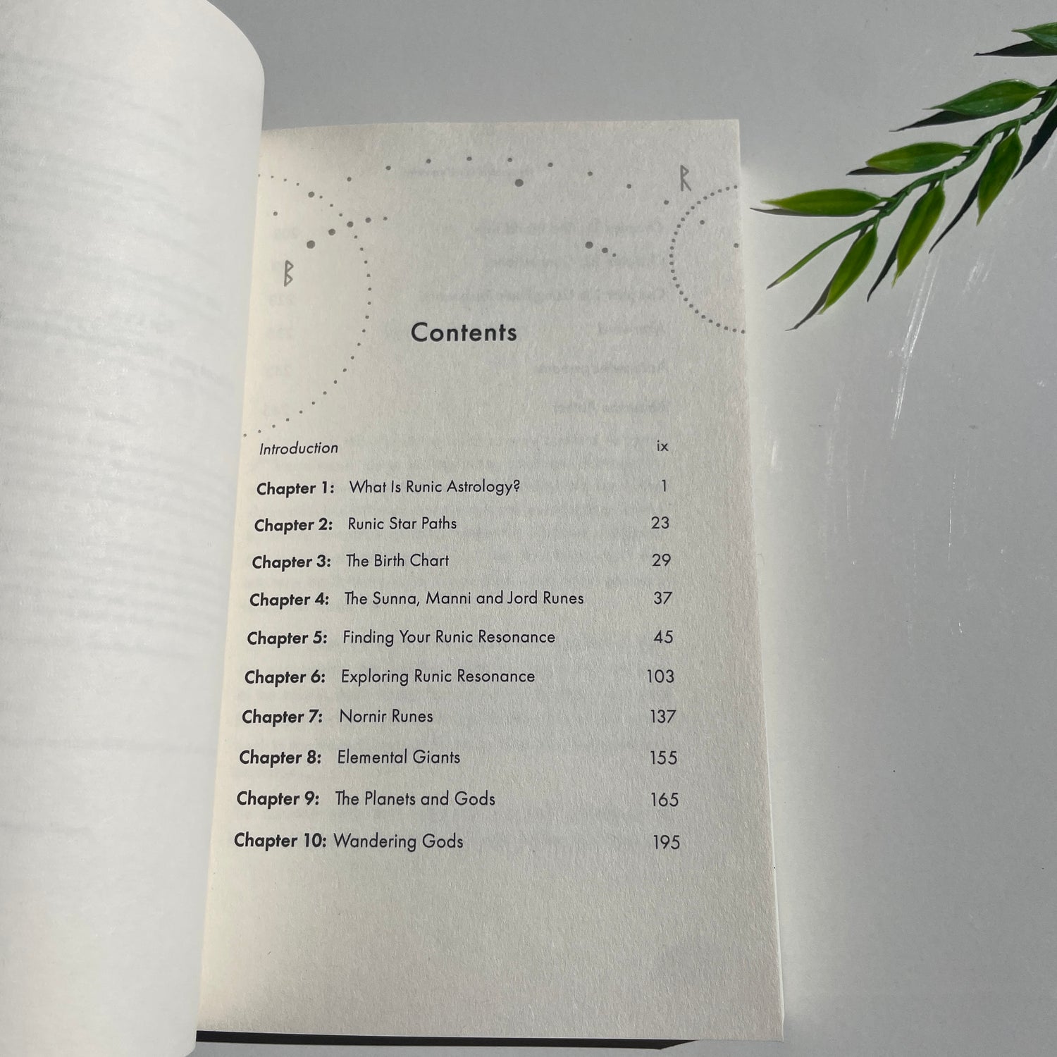 The Book Of Runic Astrology Richard Lister