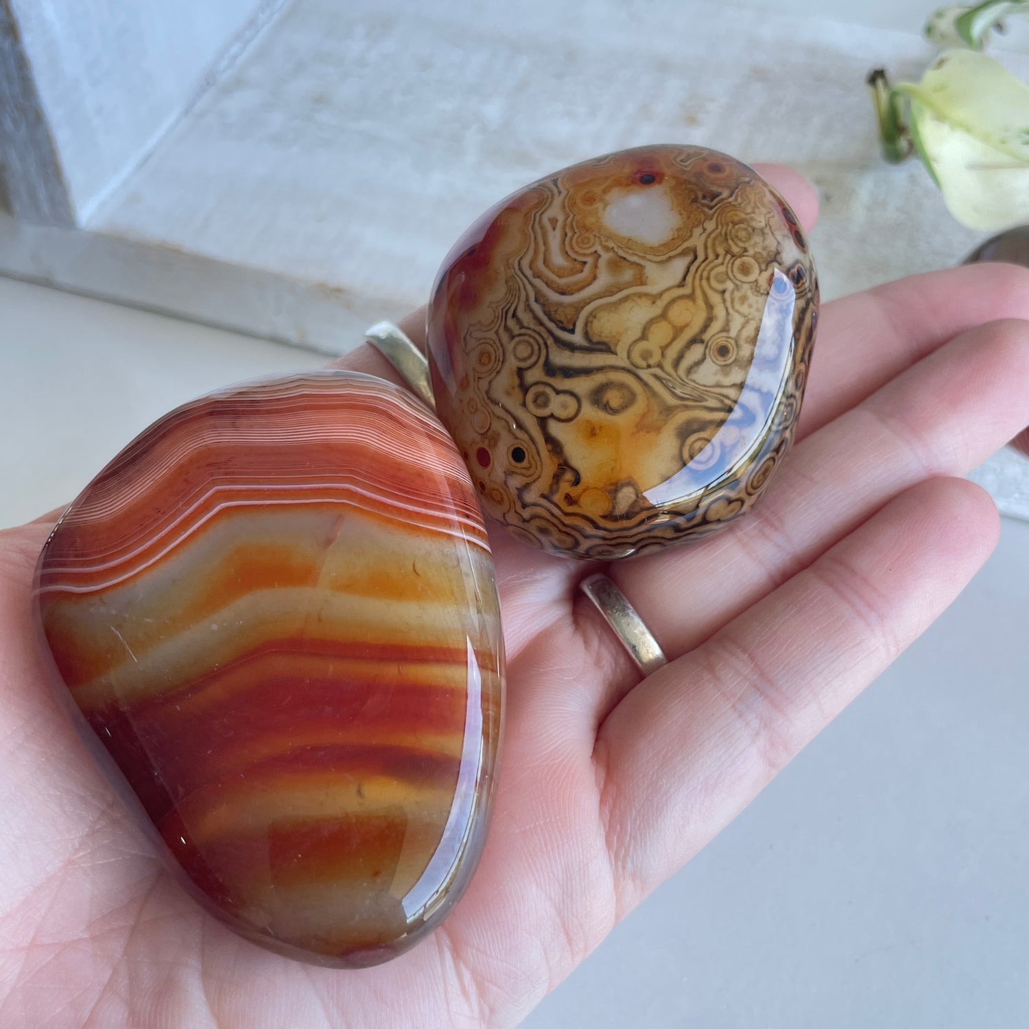 Sardonyx Palmstone