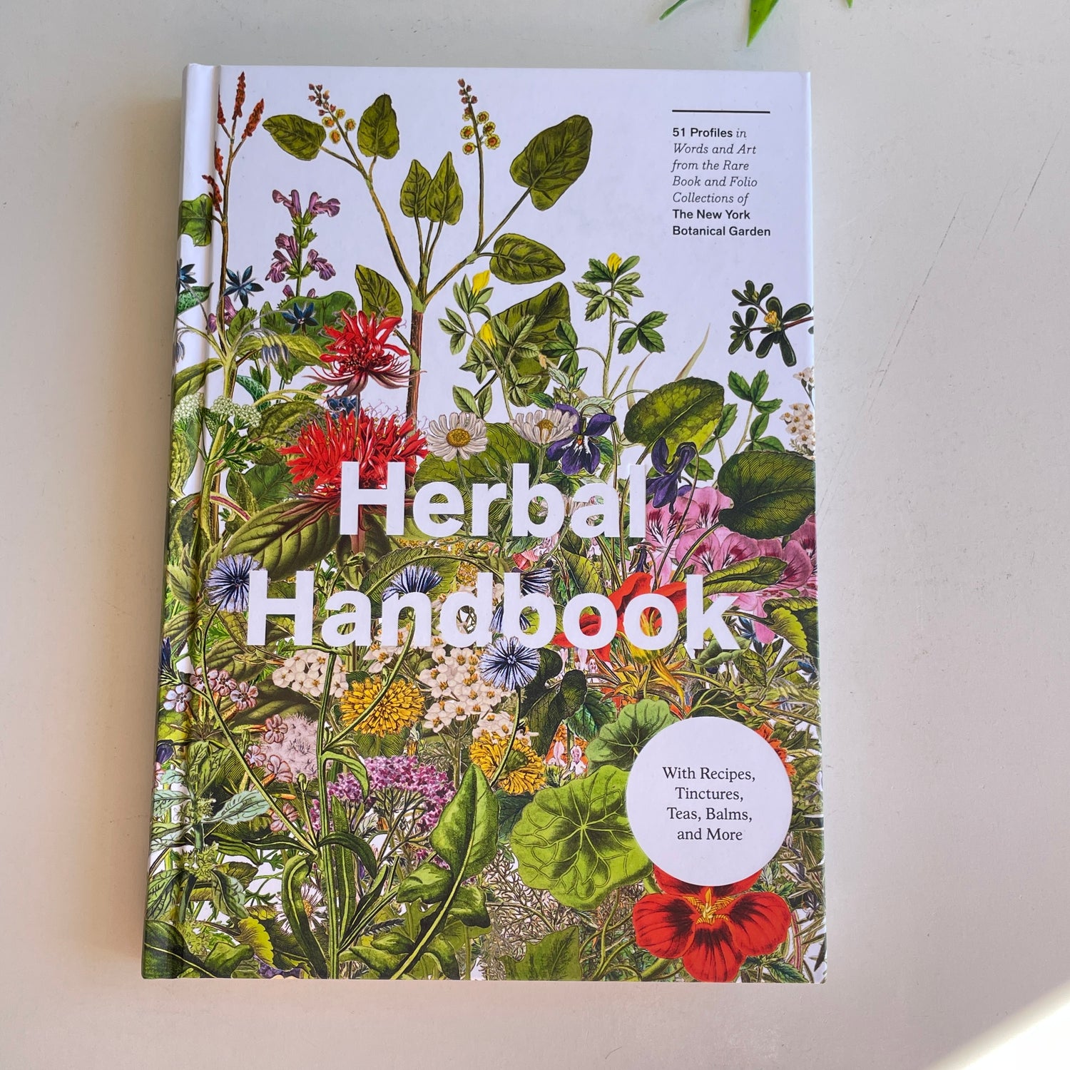 Herbal Handbook
