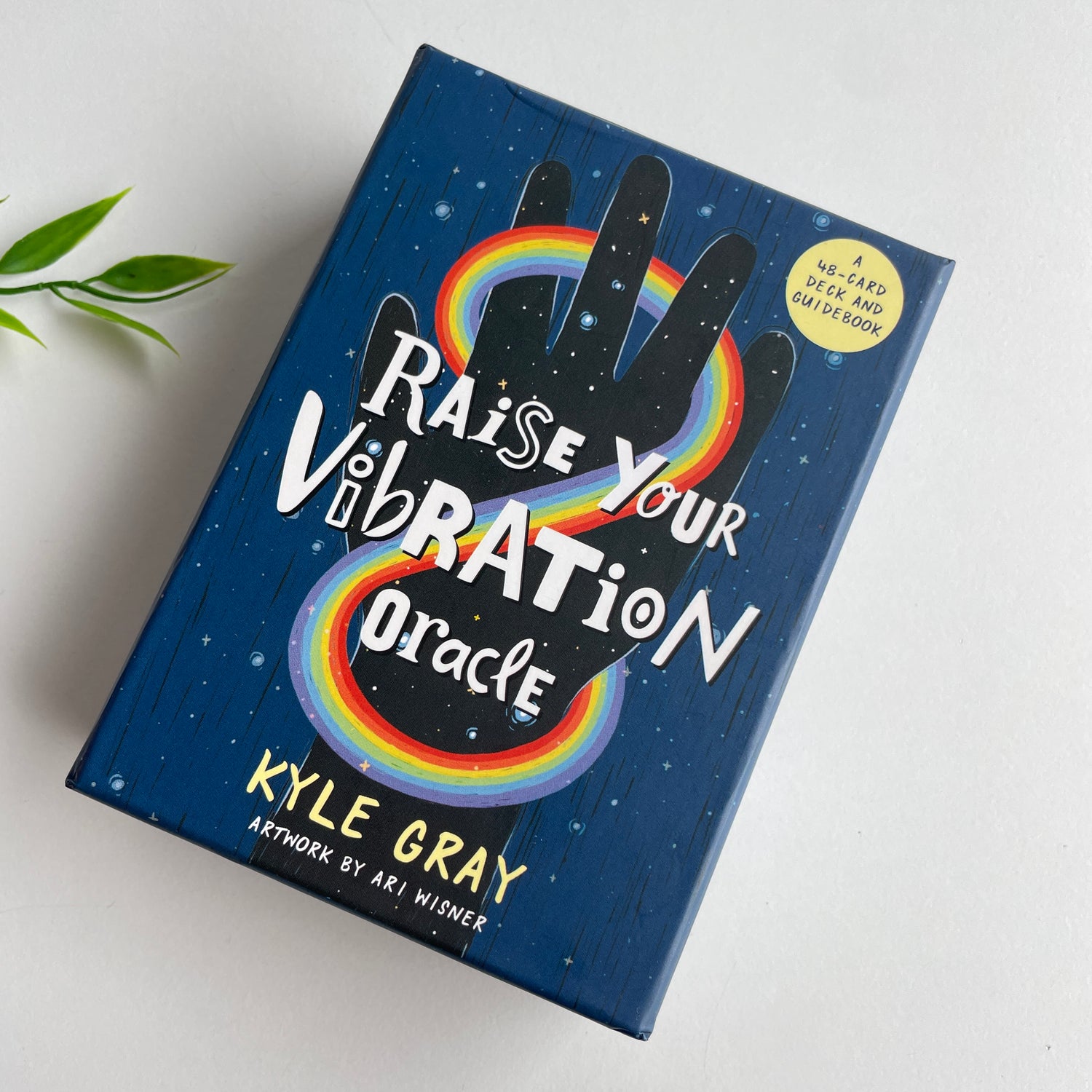 Raise Your Vibration Cards Kyle Gray
