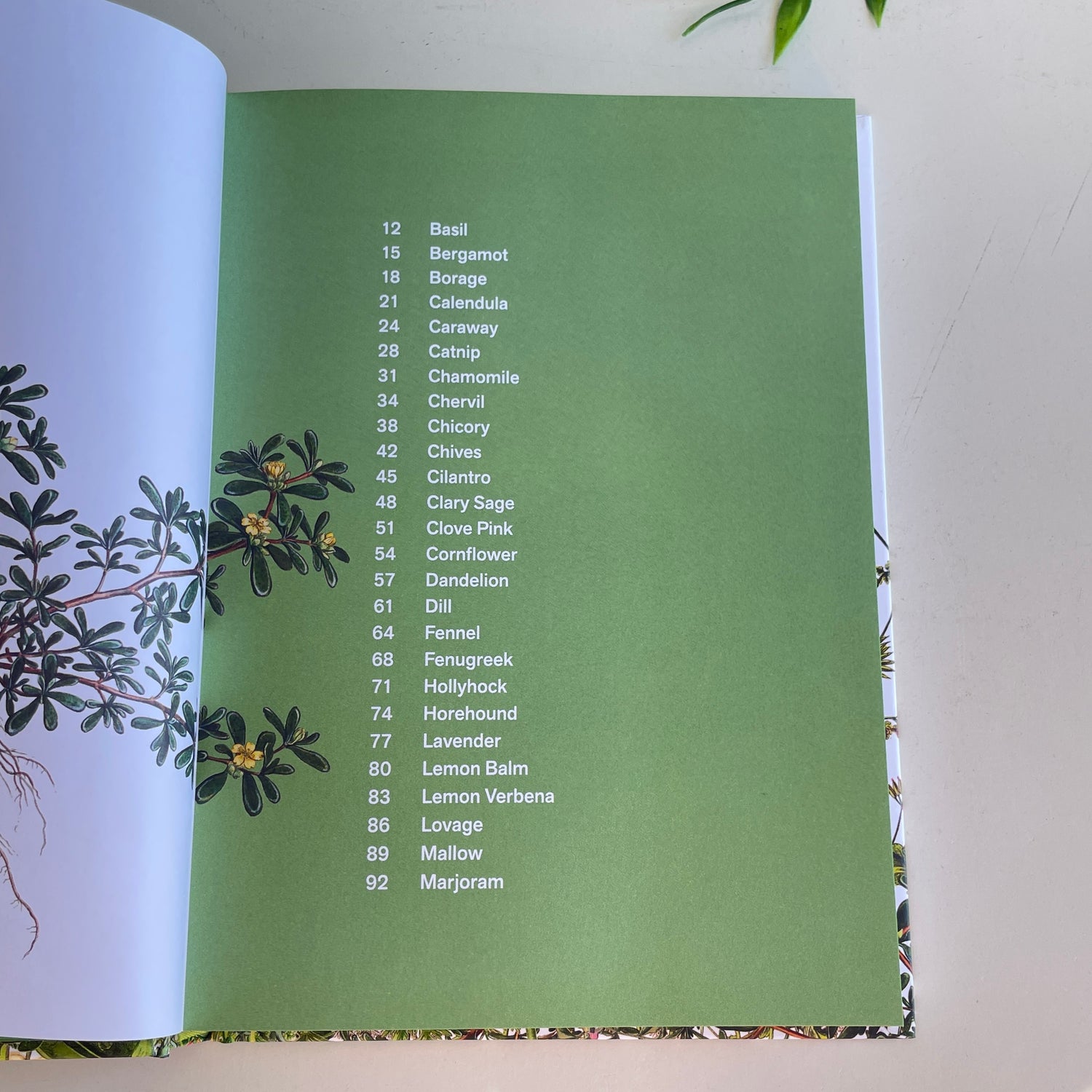 Herbal Handbook