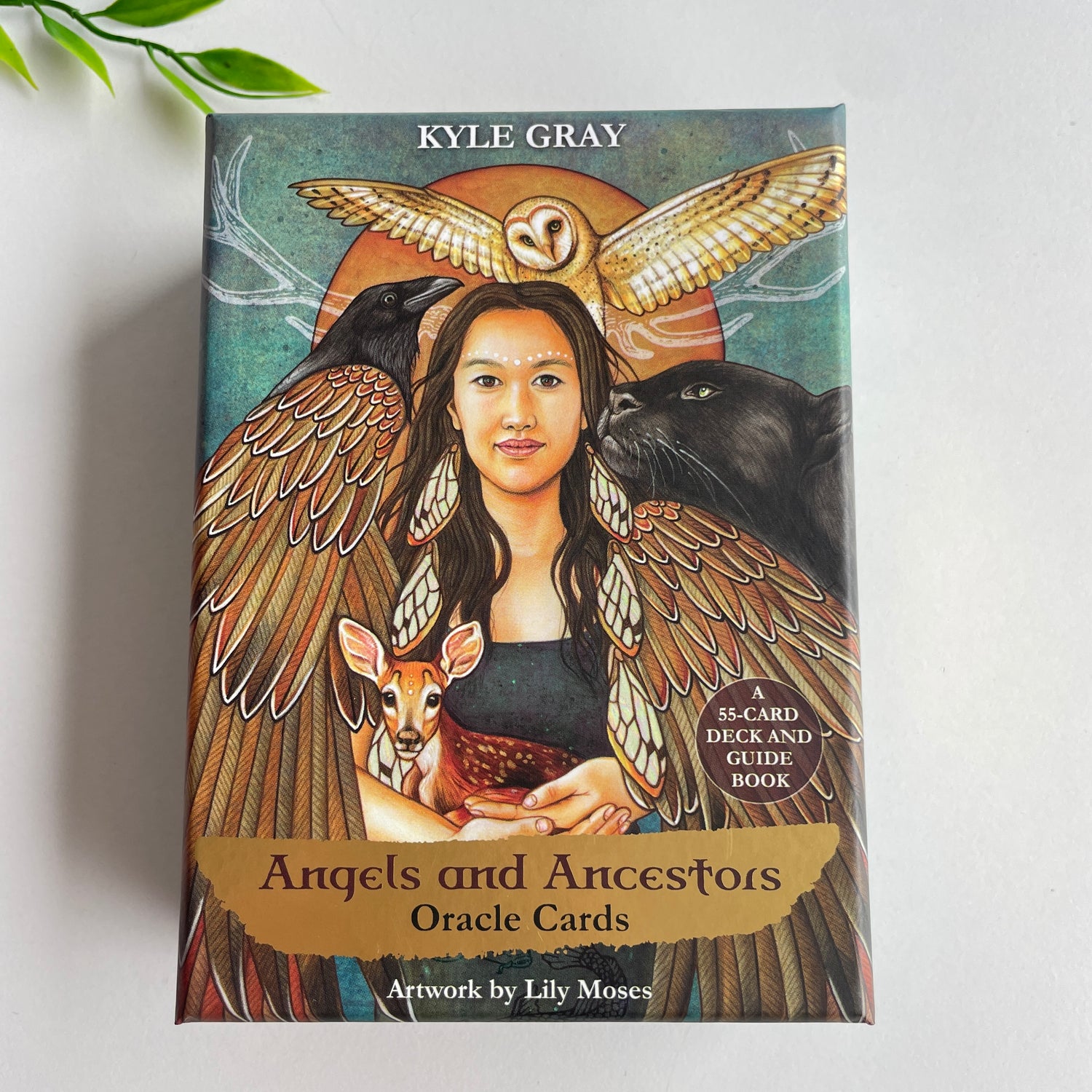 Angels and Ancestors Oracle Cards Kyle Gray