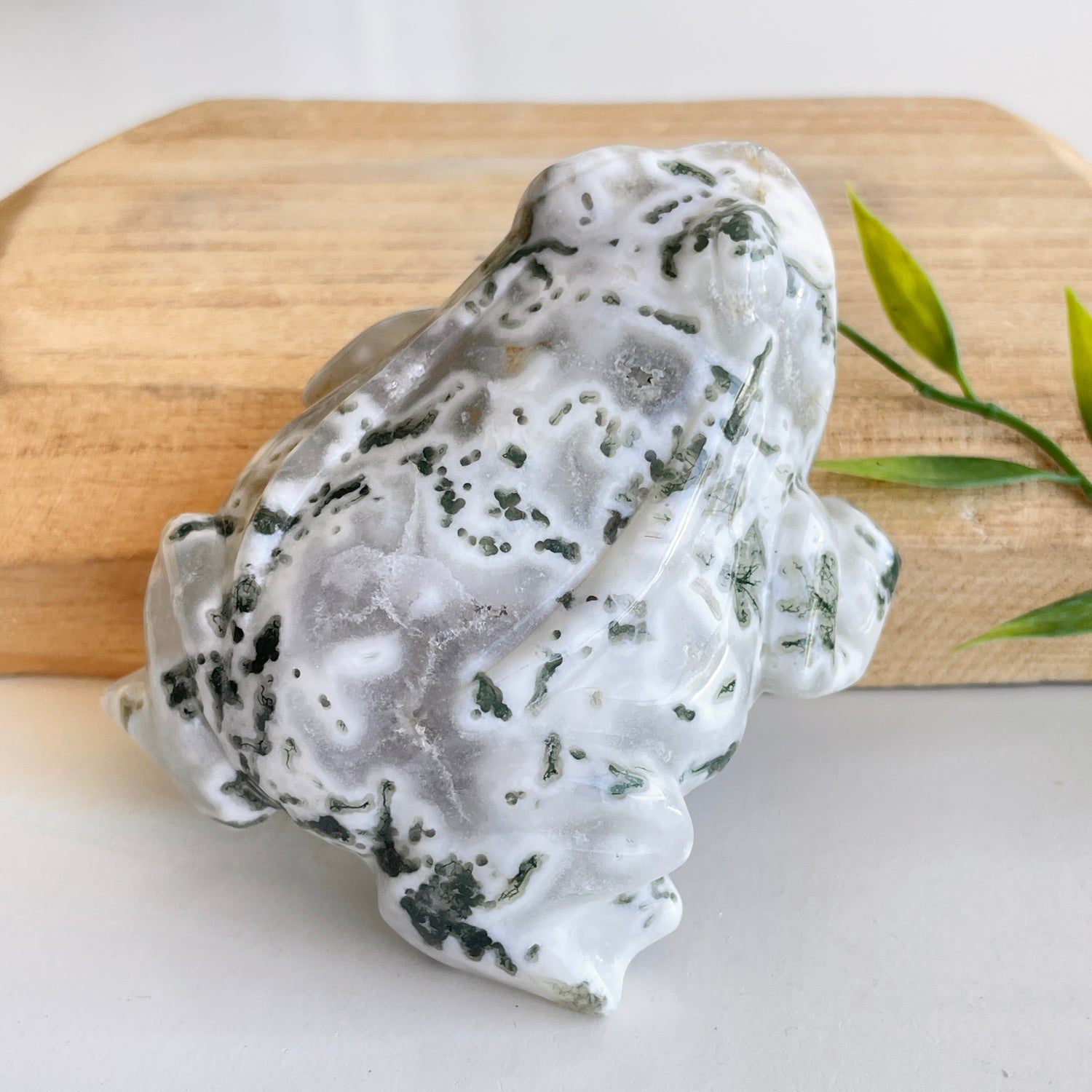Moss Agate Frog 1