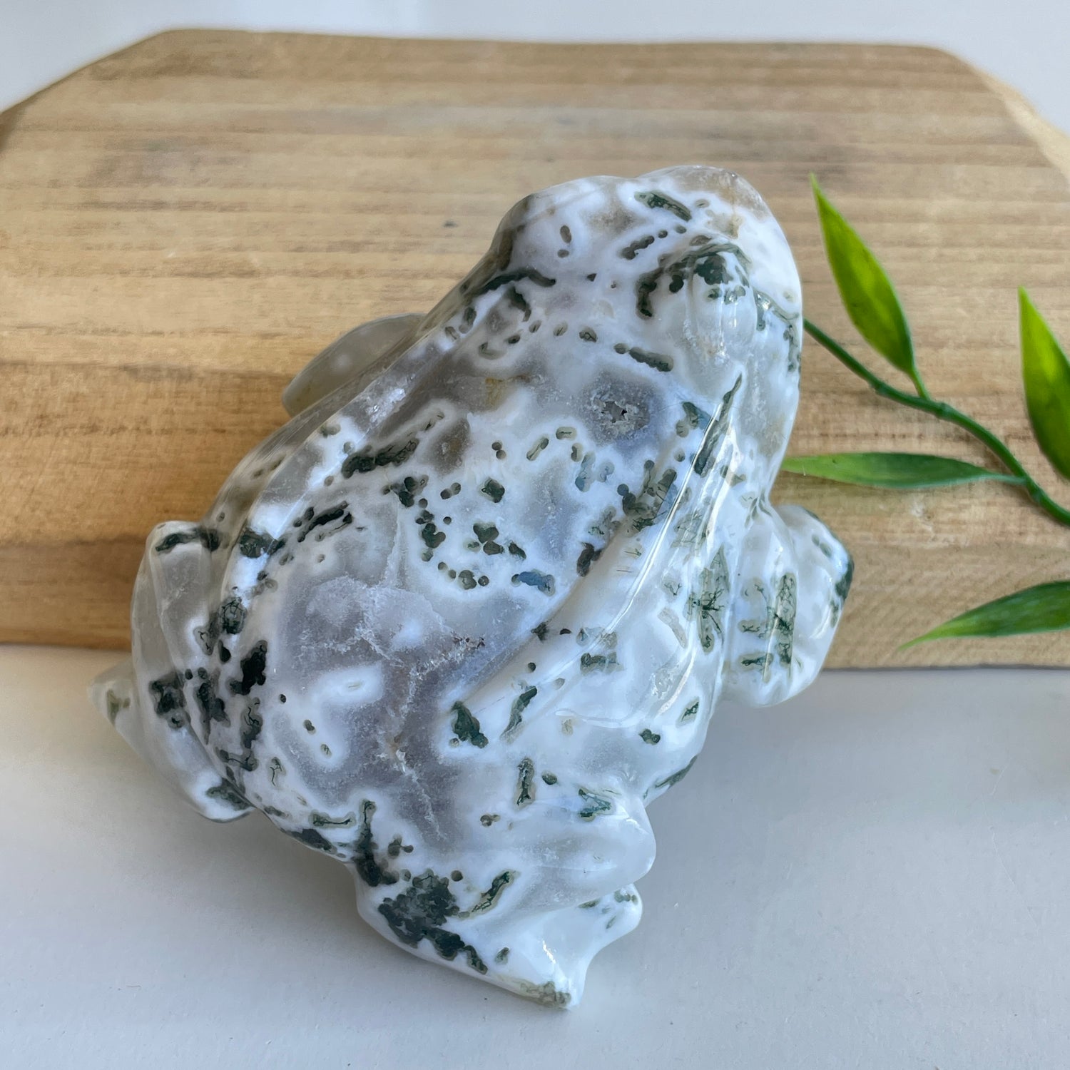 Moss Agate Frog 1