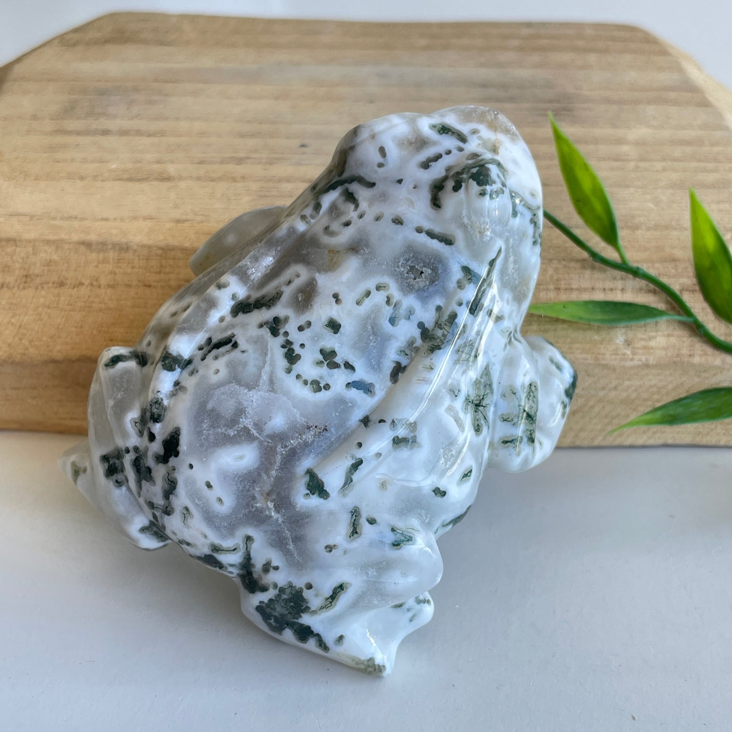 Moss Agate Frog 1