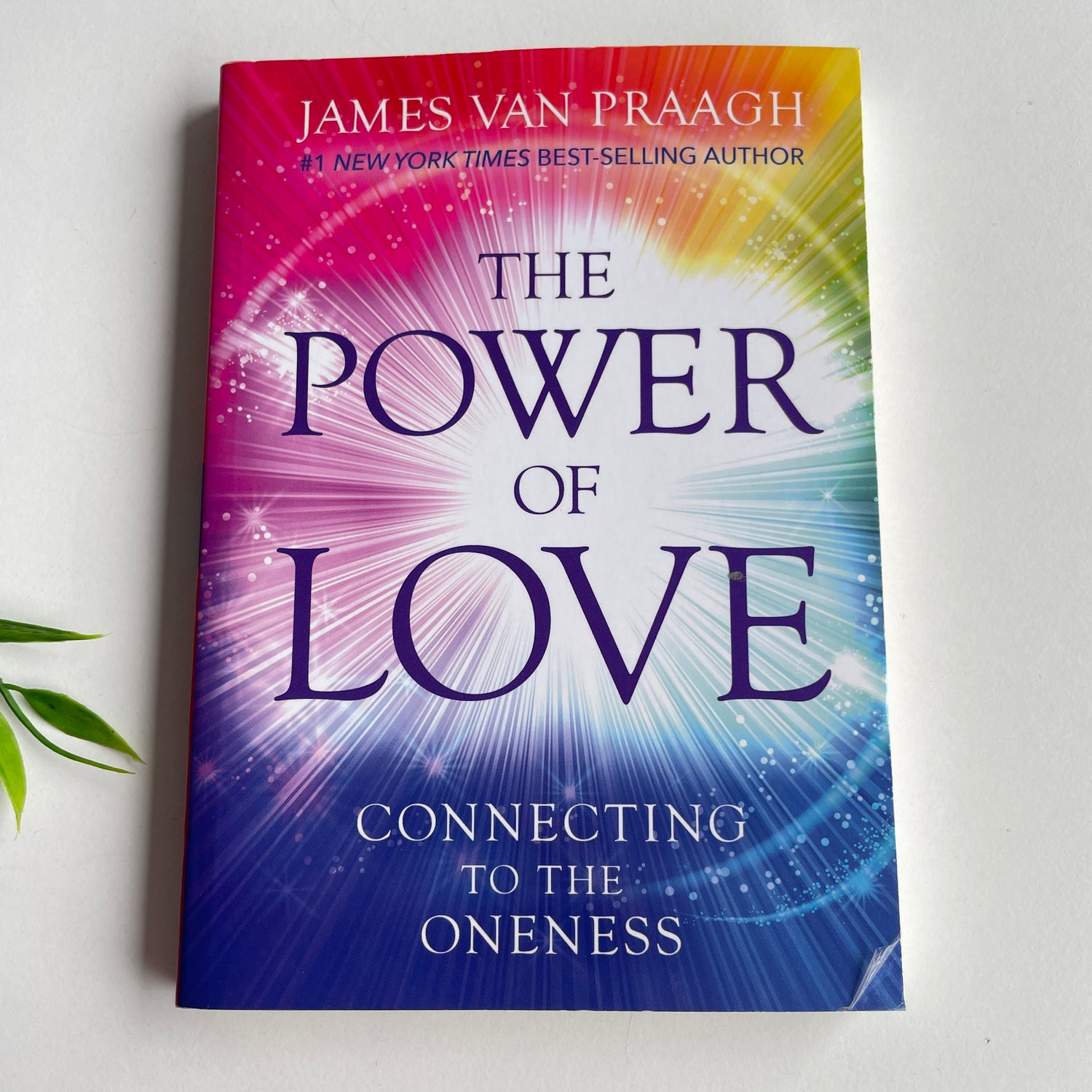 The Power Of Love James Van Praagh