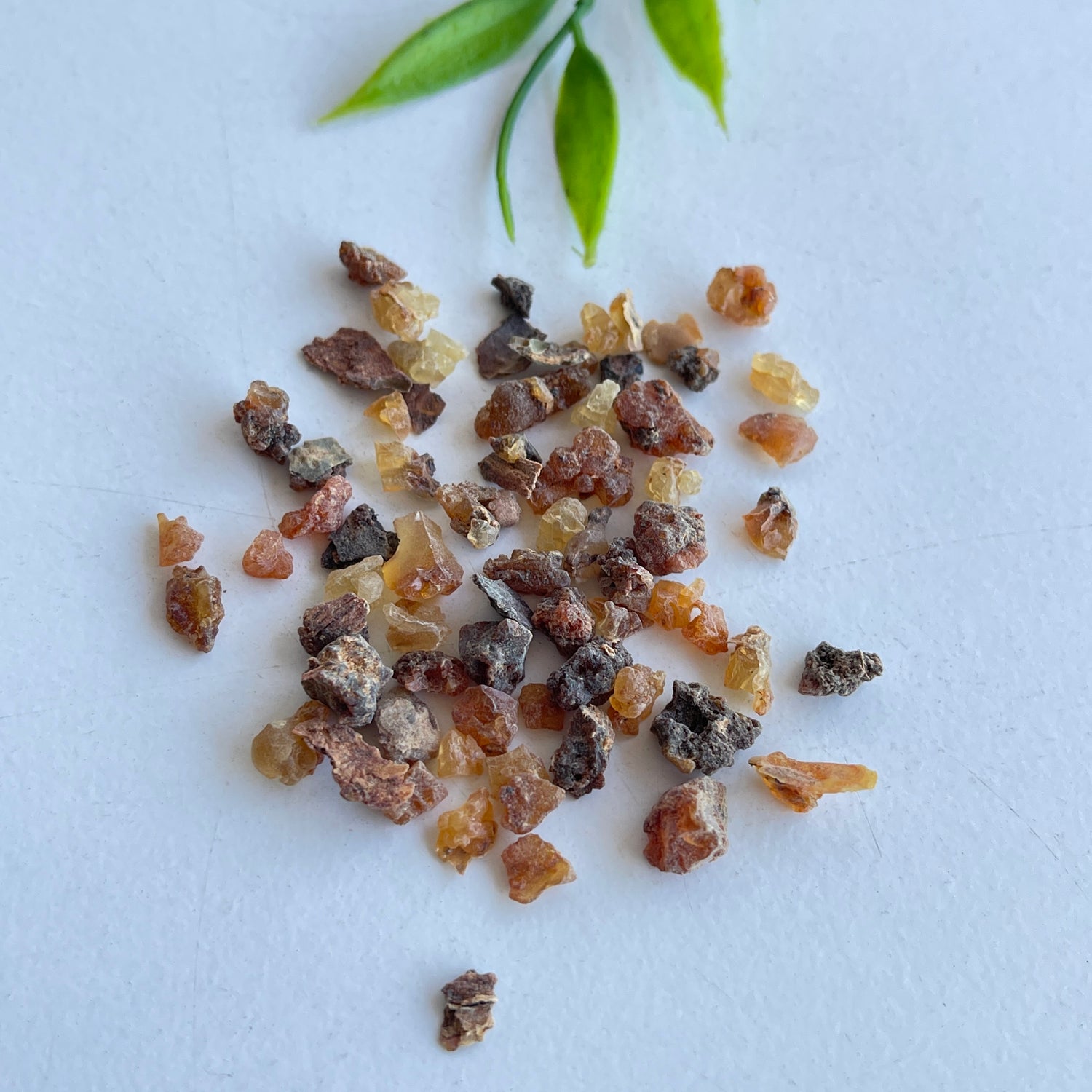 Myrrh 10g