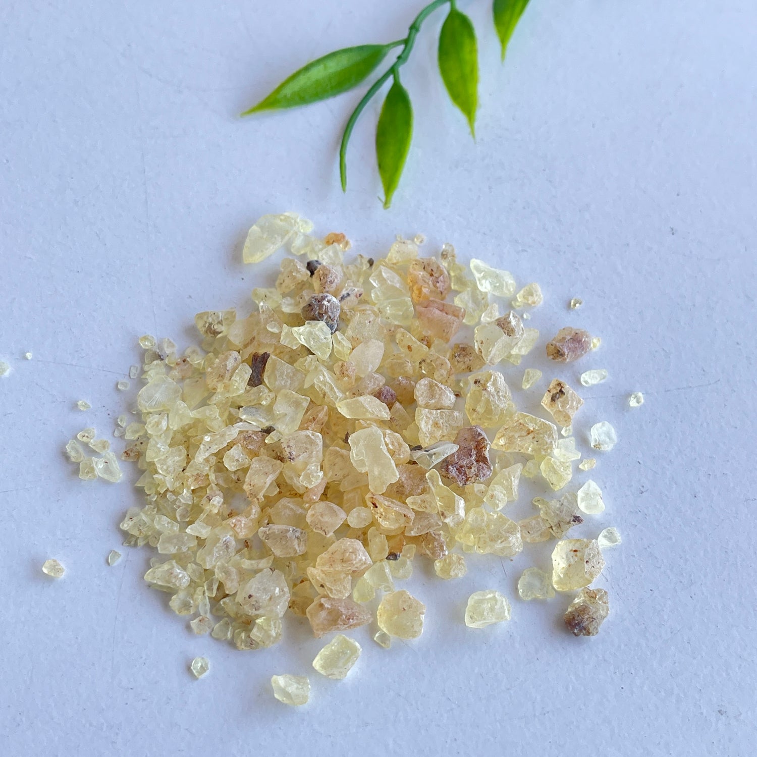Copal 10g