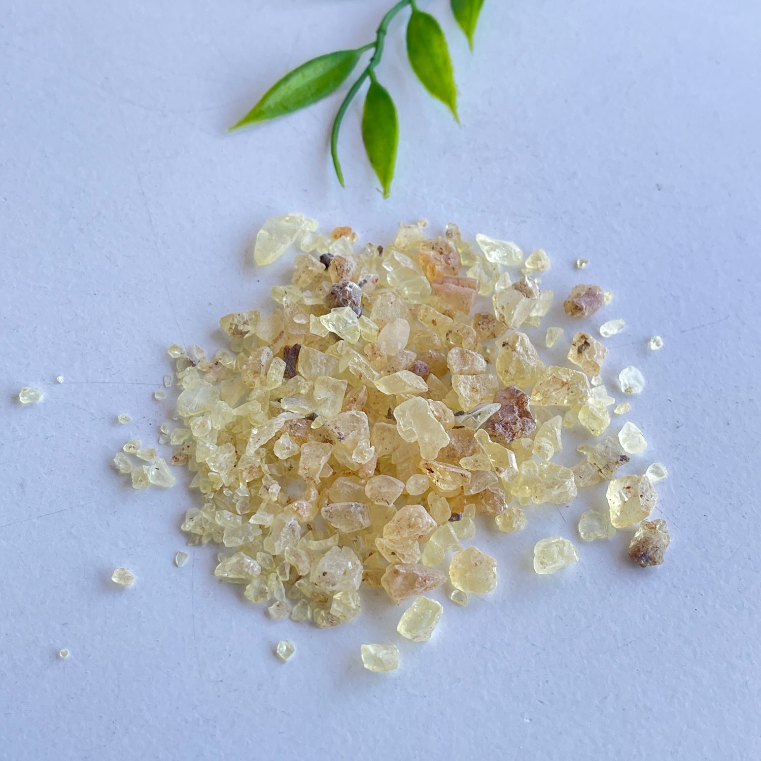 Copal 10g