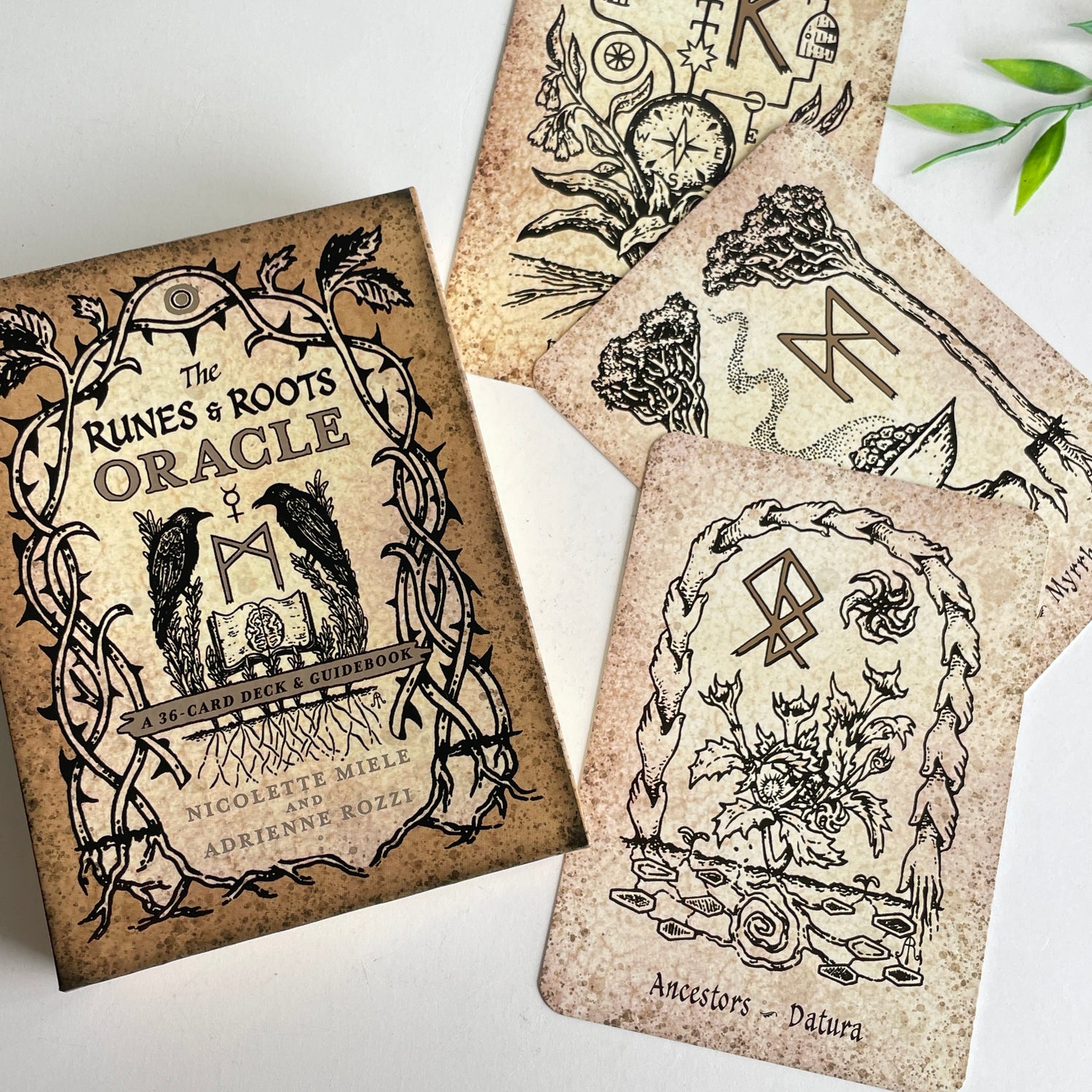 Runes and Roots Oracle Miele And Rozzi