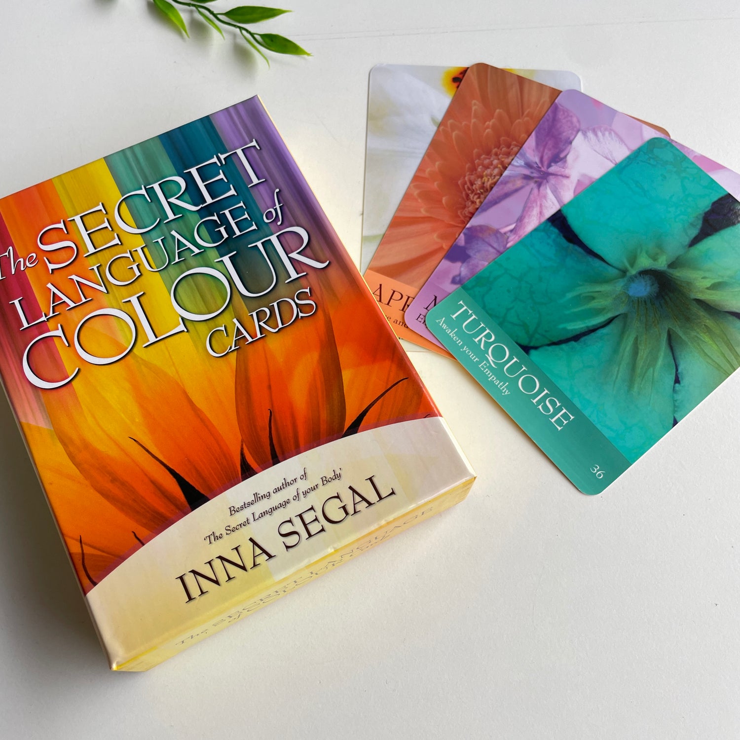The Secret Language of Colour Cards Inna Segal