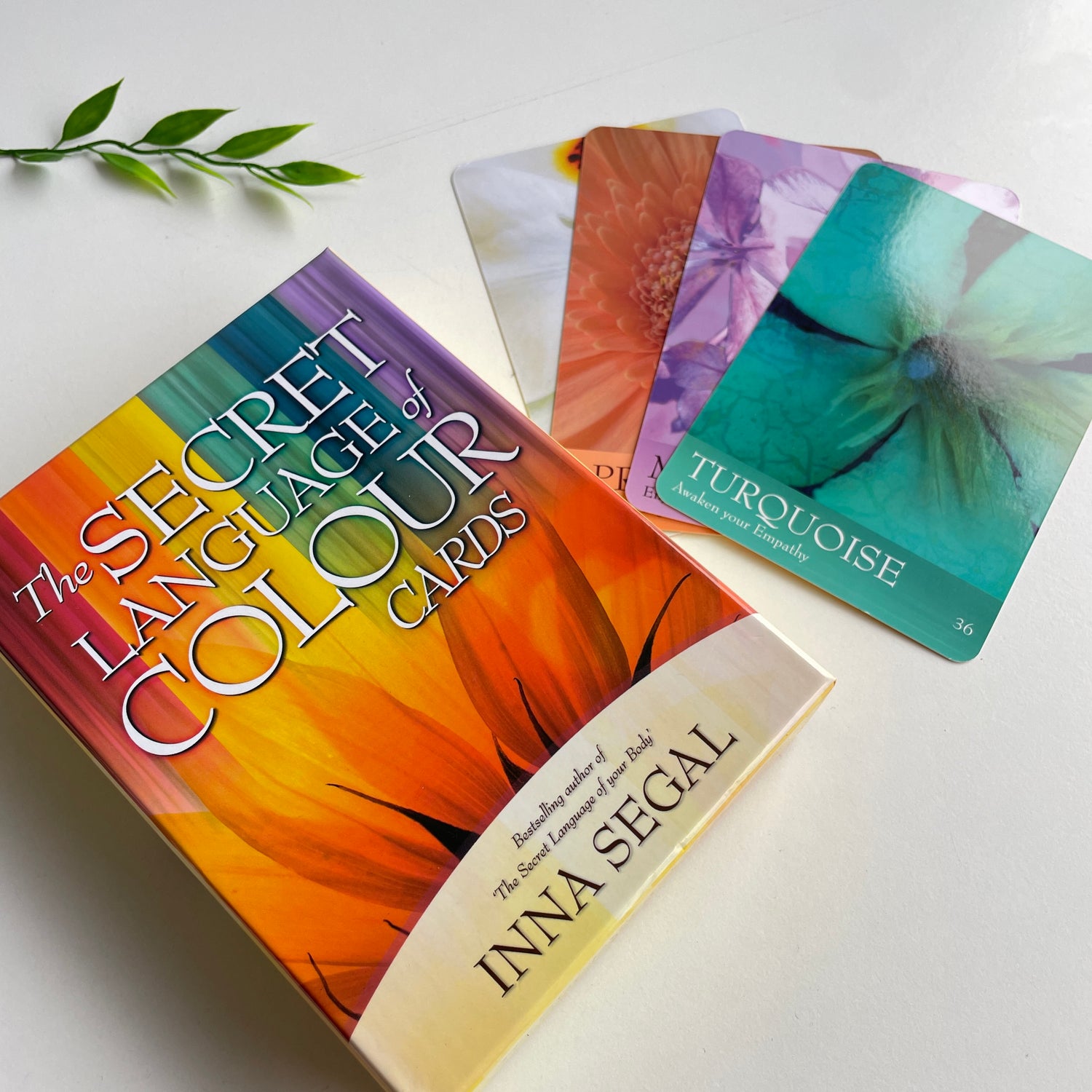 The Secret Language of Colour Cards Inna Segal