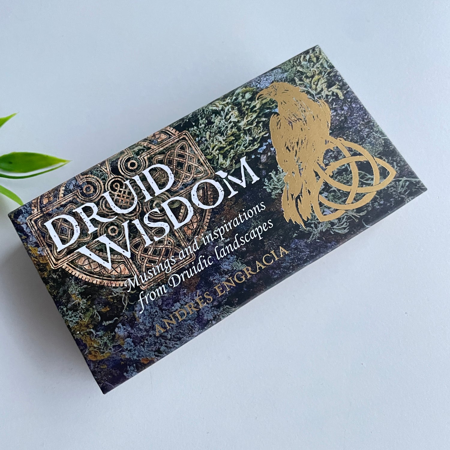 Druid Wisdom Cards Andres Engracia